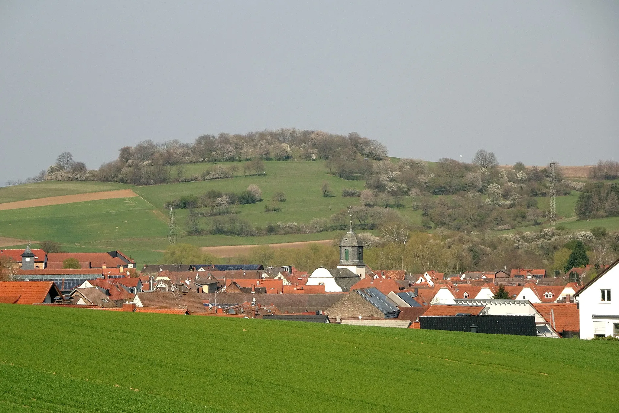 Photo showing: View from south on Groß-Bieberau and nature reserve Forstberg von Ueberau (NSG:HE-1432017), with flowering blackthorn, cherry and plum trees. Landkreis Darmstadt-Dieburg, southern Hesse, Germany.