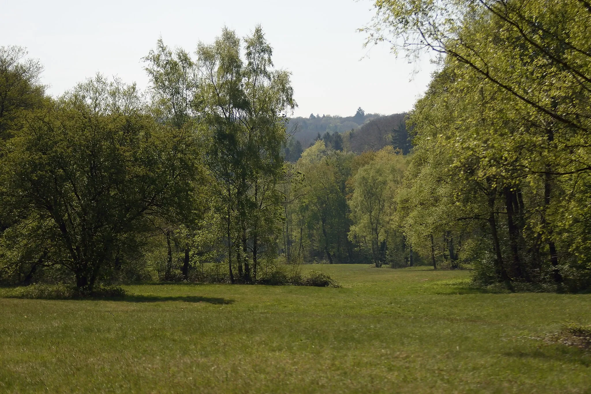 Photo showing: Naturschutzgebiet „Rabengrund von Wiesbaden“ (NSG 1414002)