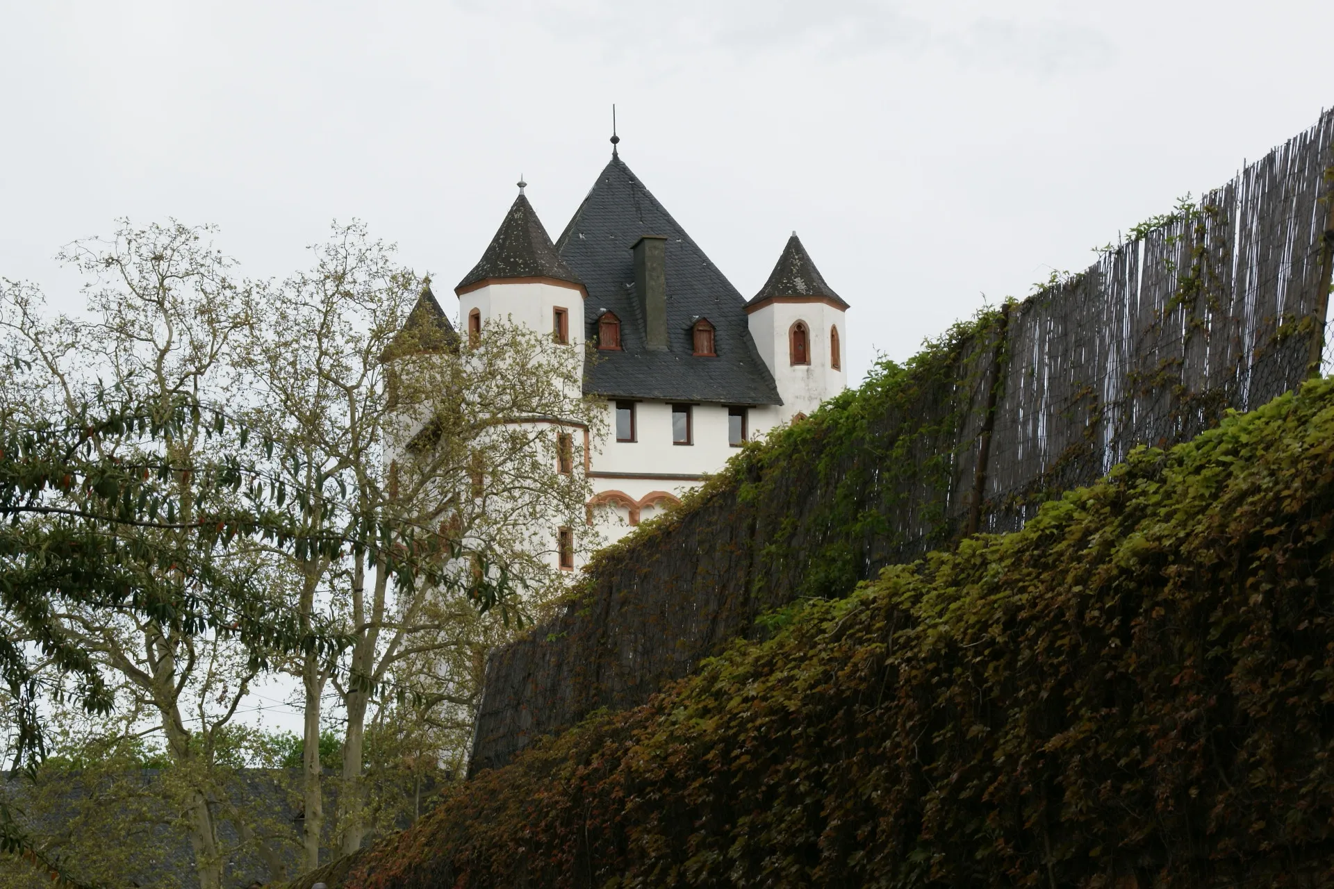Photo showing: Castle (Burg) in Eltville, Hessen, Germany