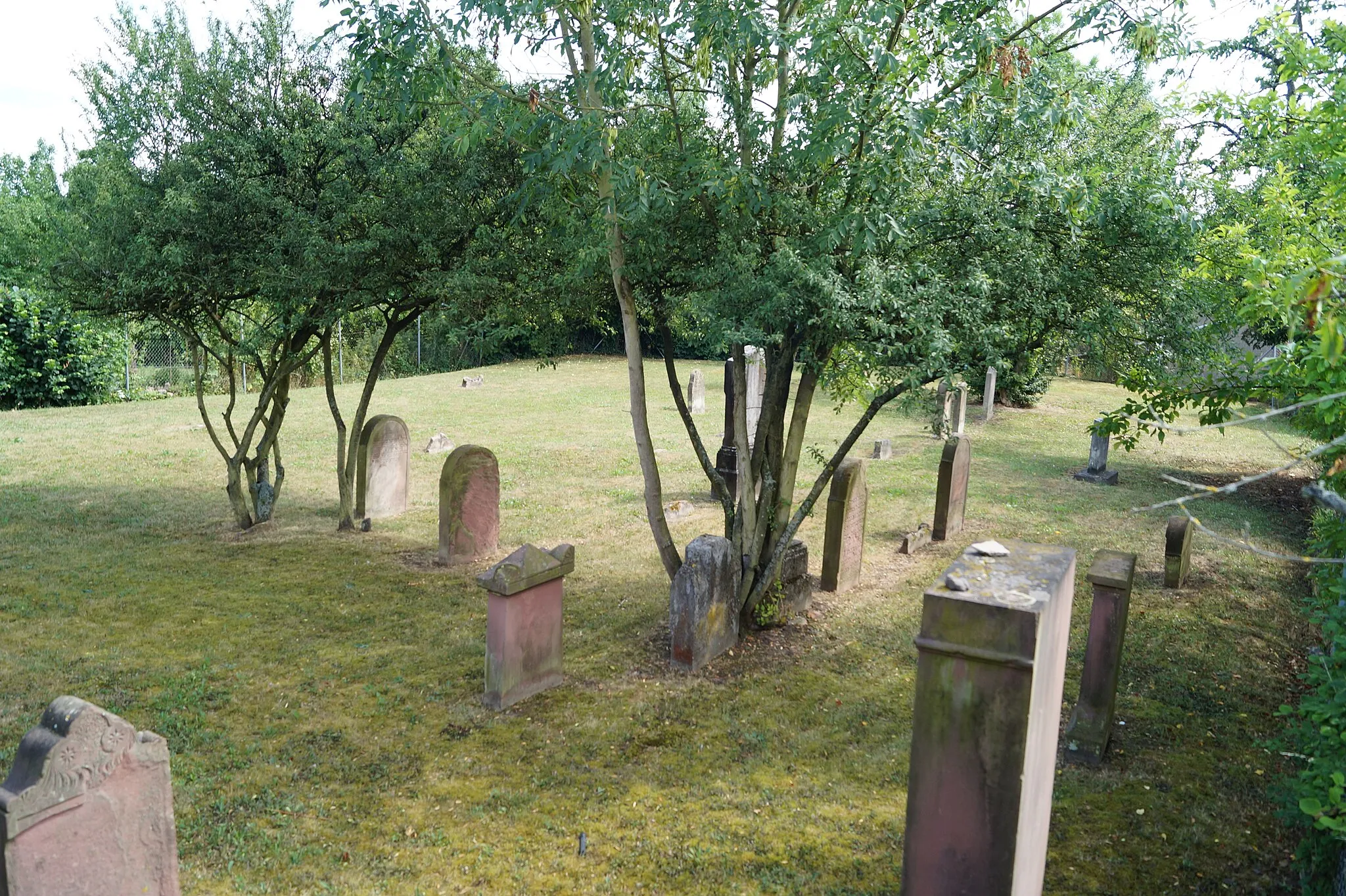 Photo showing: Alter jüdischer Friedhof Heldenbergen, Ansicht von Norden.