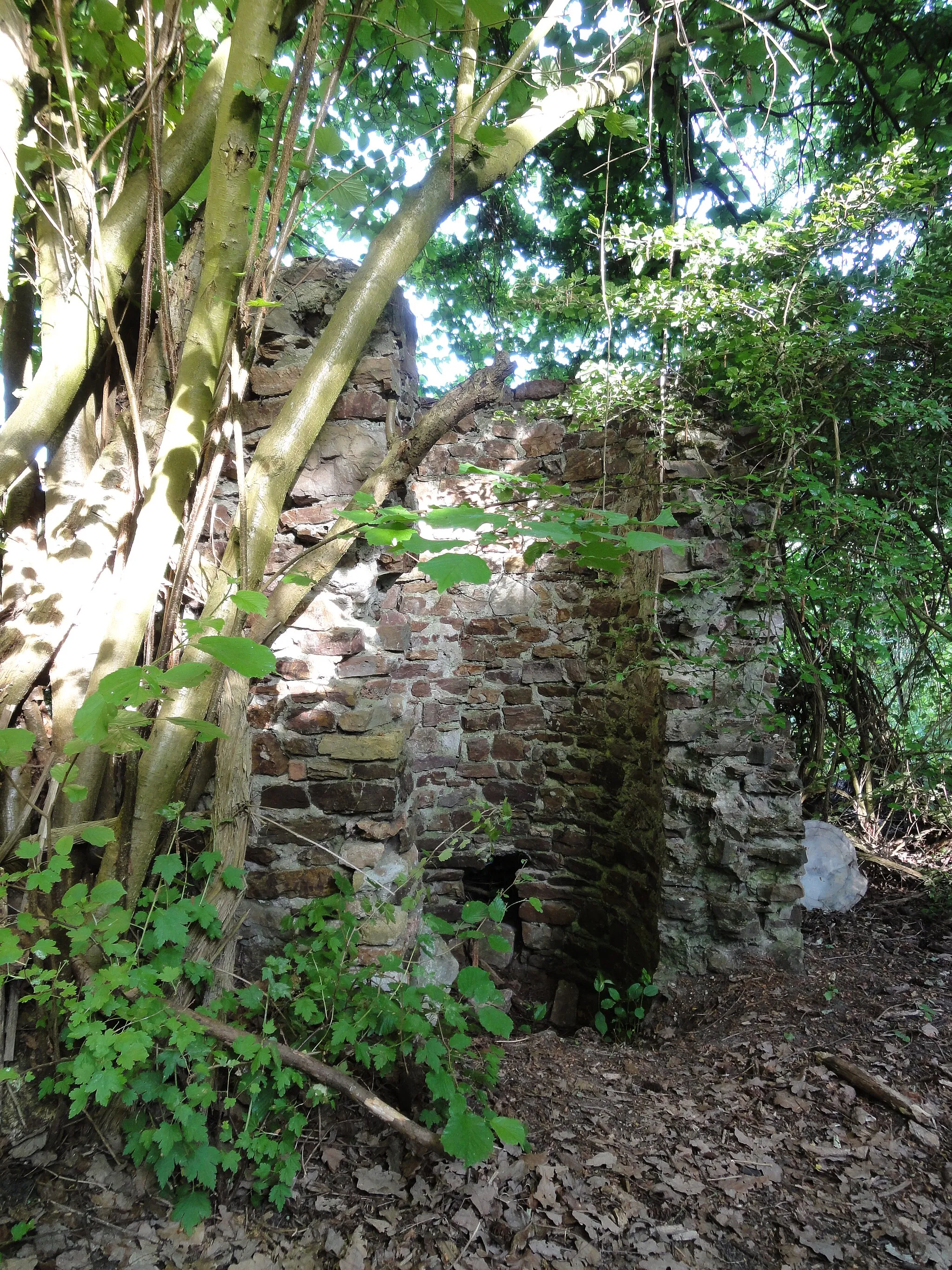 Photo showing: Ziehbrunnenreste an der Ruine Plixholz bei Rüdesheim