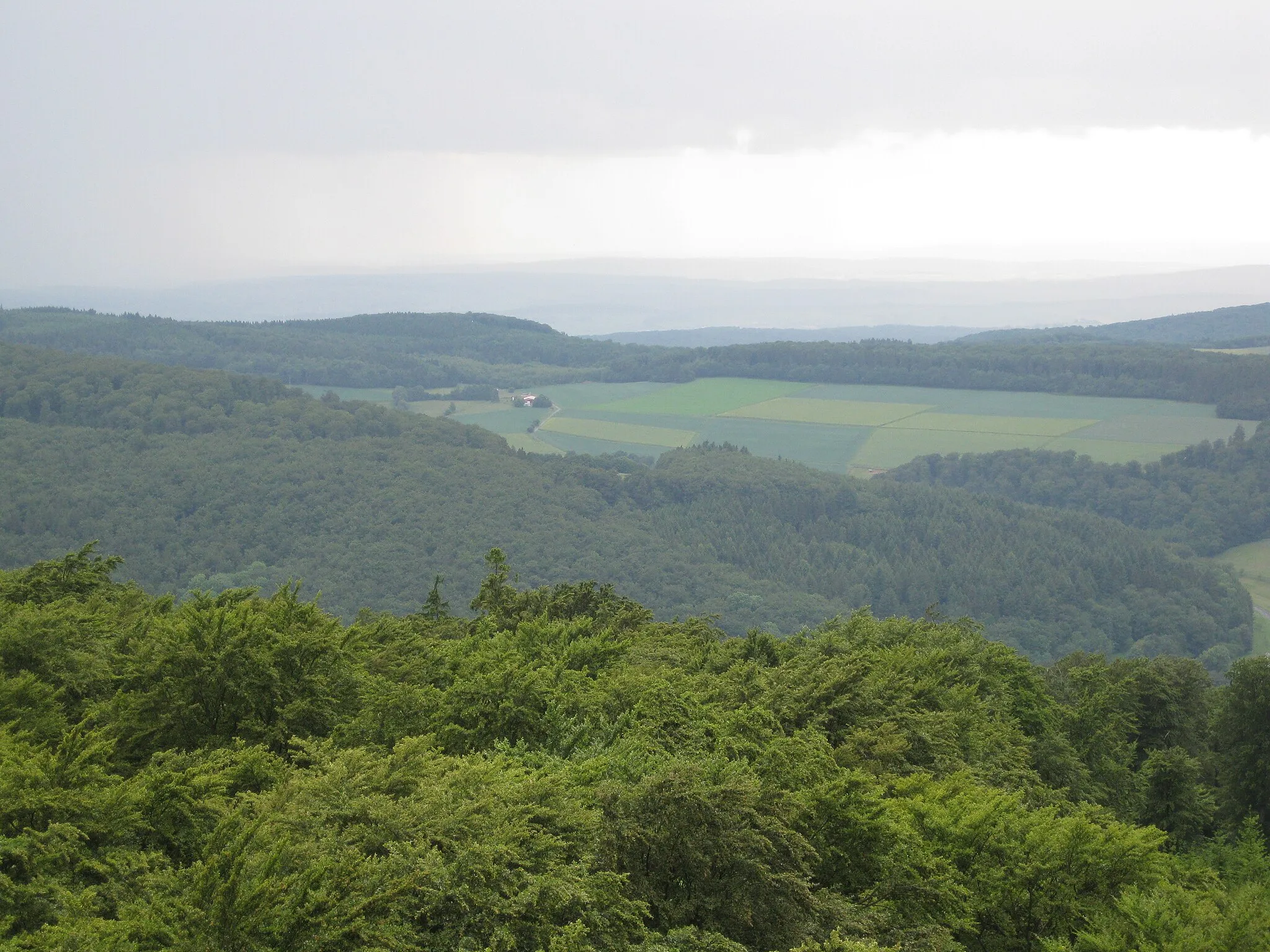 Photo showing: Blick vom Aussichtsturm auf dem Pferdskopf nach Westen zum Pfaffenkopf