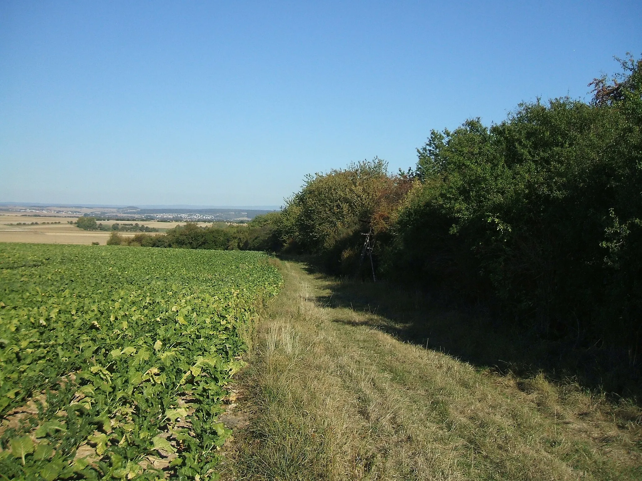 Photo showing: Blick auf den nordwestlichen Rand des Steinlachsgrabens von Westen her, mittig ist der Hochsitz erkennbar, bei dem es bequem hinunter in die gepflegte Mulde geht. Im Hintergrund sind die Butzbacher Ortsteile Ostheim und links, nördlich davon, Nieder-Weisel erkennbar.