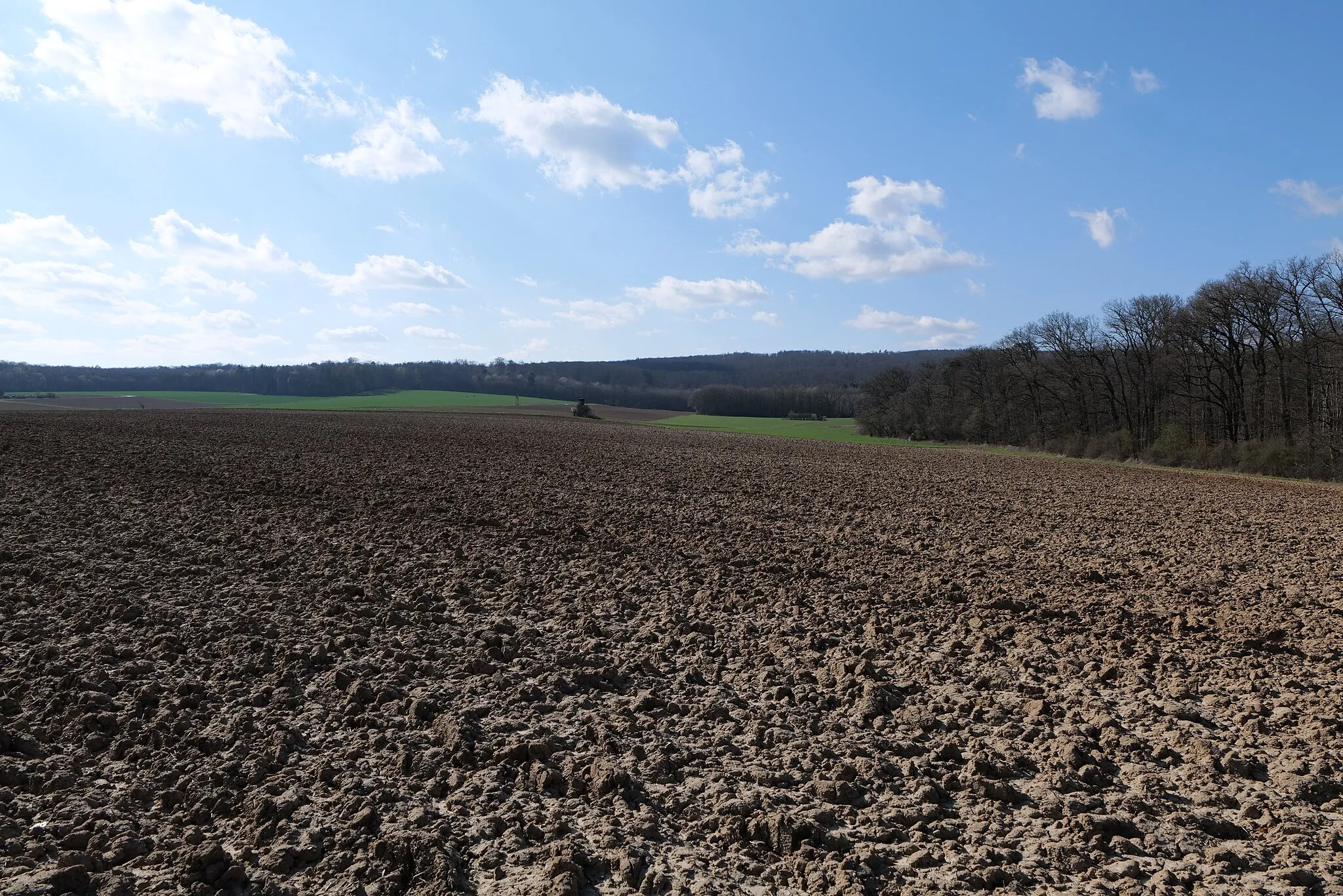 Photo showing: Acker in Köppern am 2. April 2021.