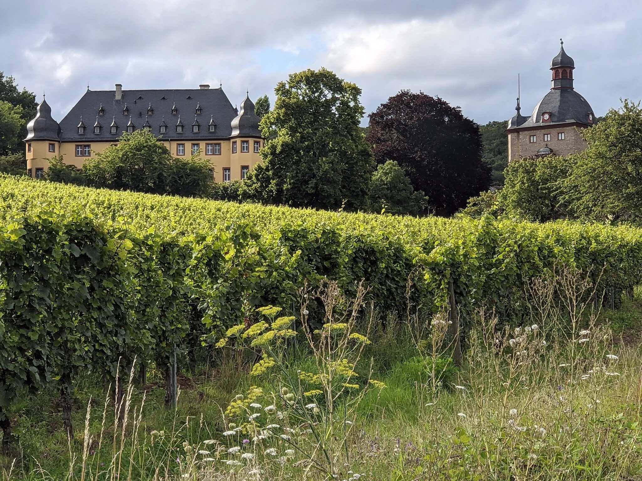 Photo showing: Vollrads castle in Oestrich-Winkel