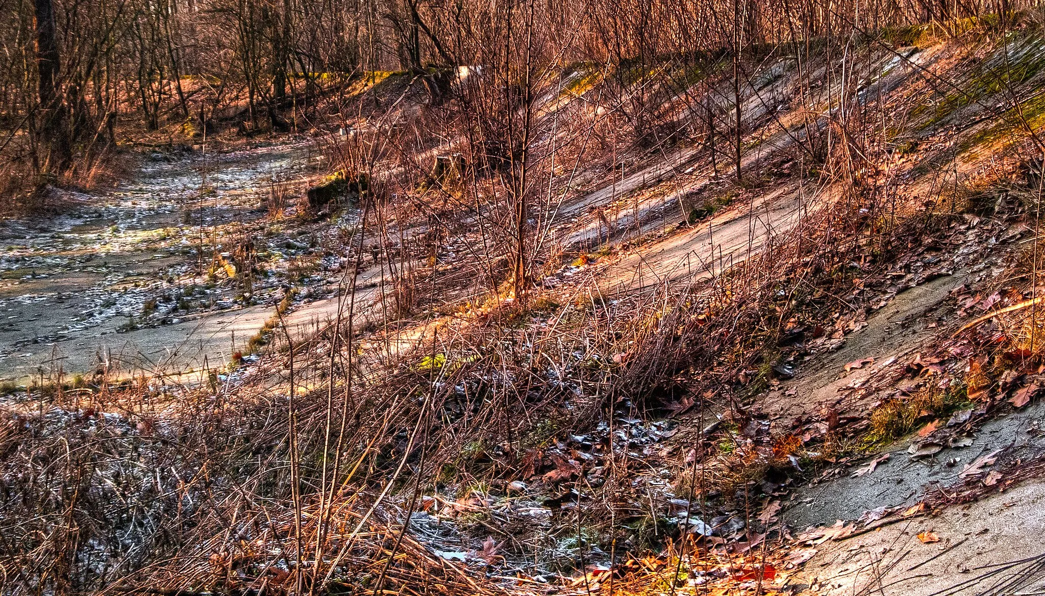 Photo showing: Remains of the Opel Rennbahn south of Rüsselsheim, Germany