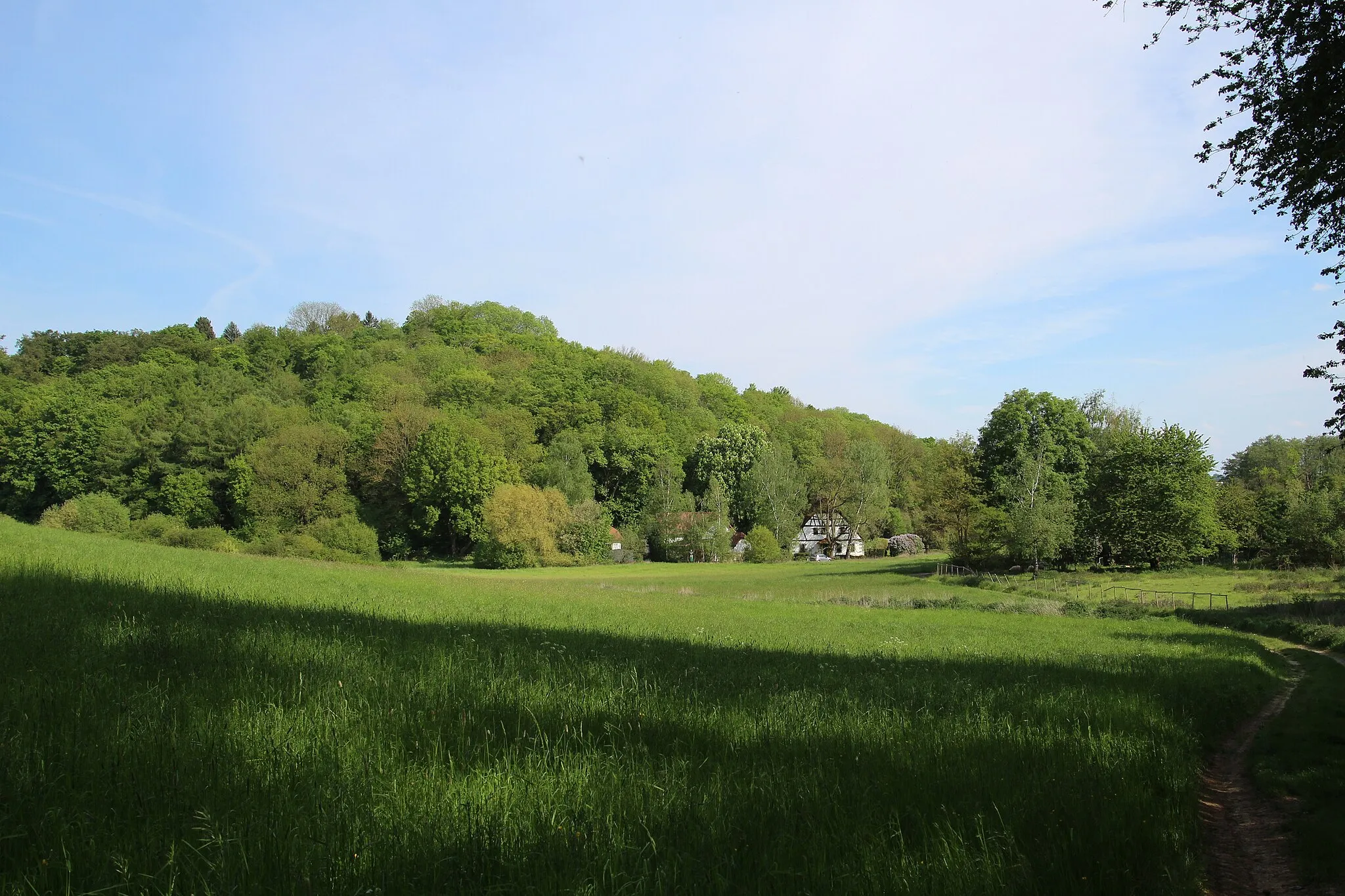 Photo showing: Naturschutzgebiet Krebsbachtal bei Kaichen