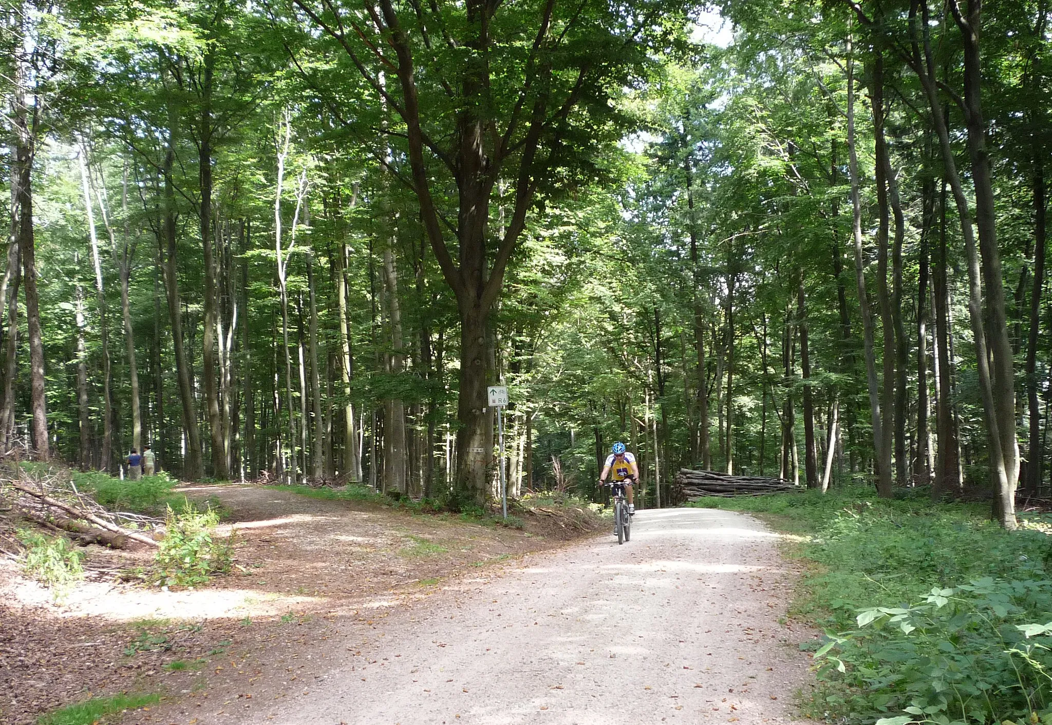 Photo showing: Hess. Radfernweg R6 in der Nähe des Jagdschloss Platte am Stadtrand von Wiesbaden auf dem Herzogweg