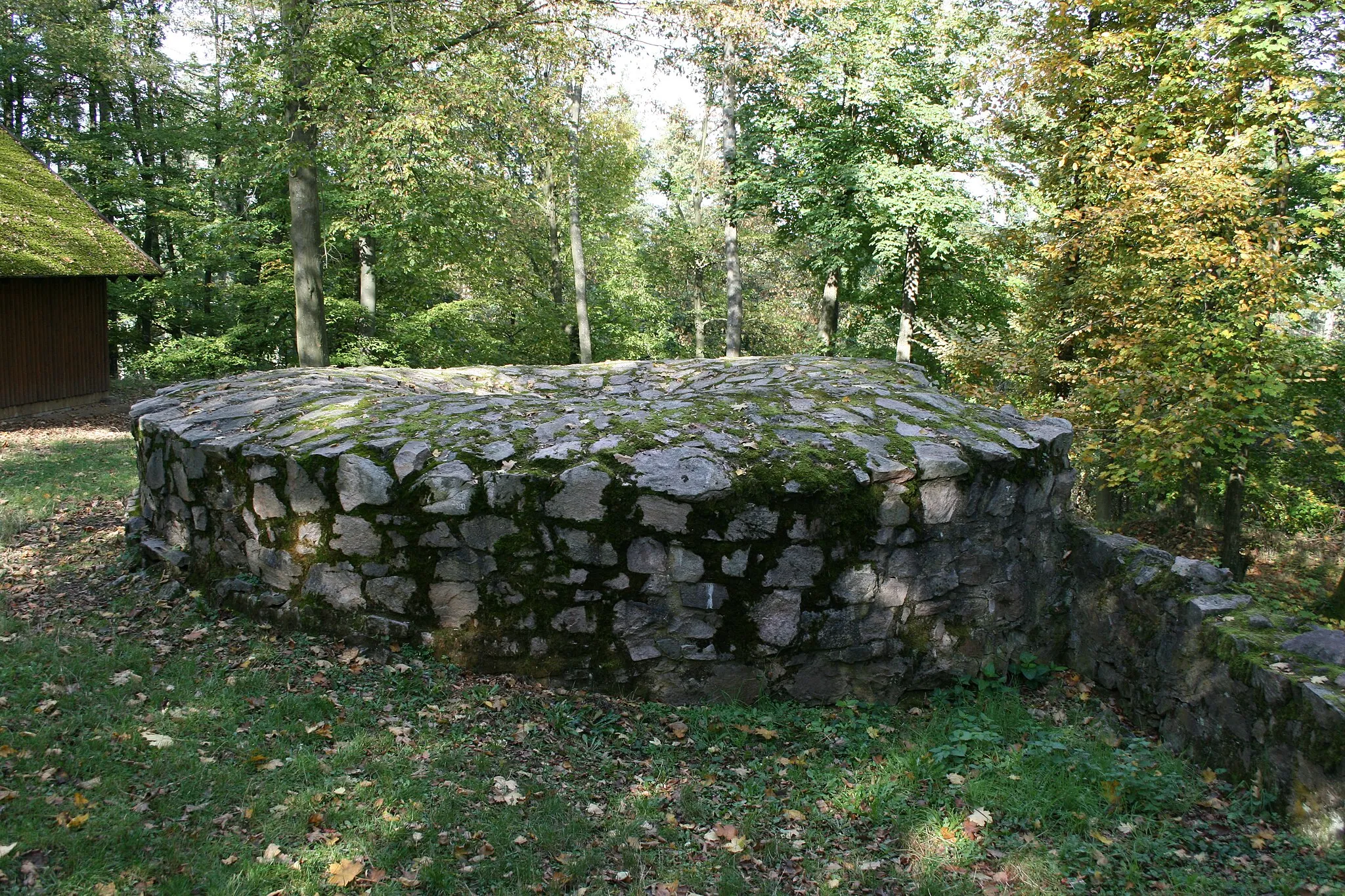 Photo showing: Burgruine Schnellerts im Odenwald. Ansicht des Turmstumpfes von Süden.