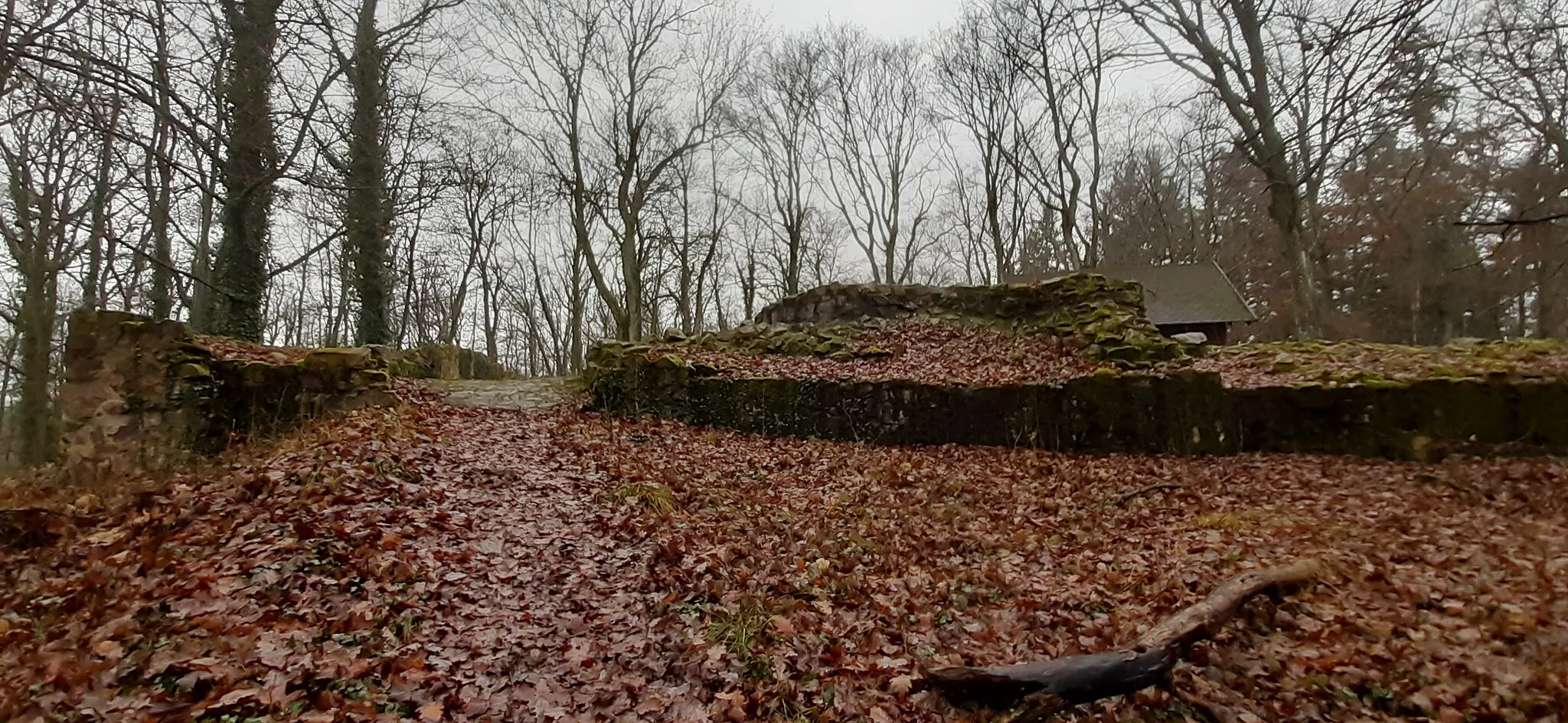 Photo showing: Burg Schnellerts Ende Dezember 2021: Aufgang SWest zur Burg.