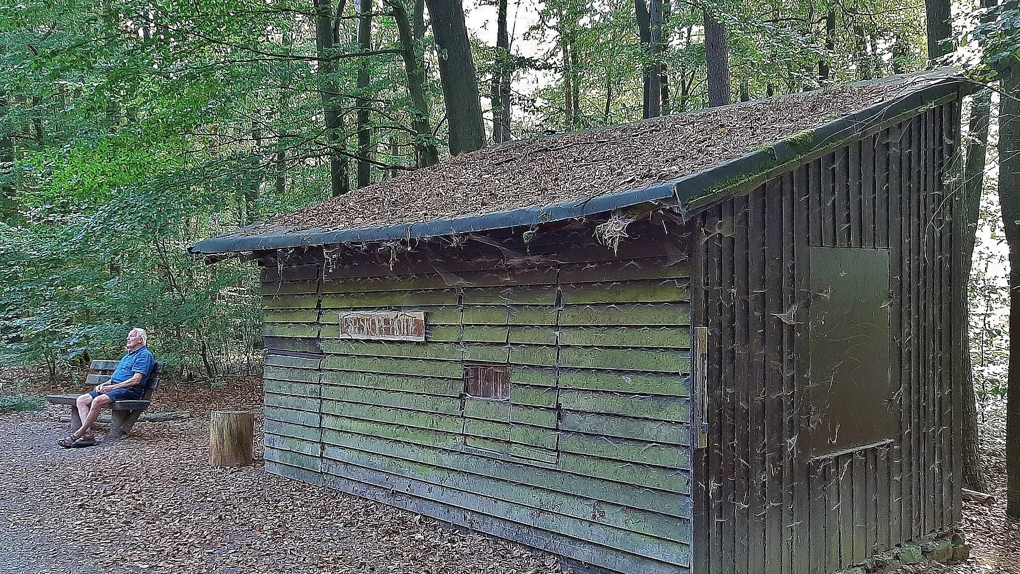 Photo showing: Eselskopf-Hütte am R8 zwischen Niedernhausen und Buchwaldskopf im Taunus.