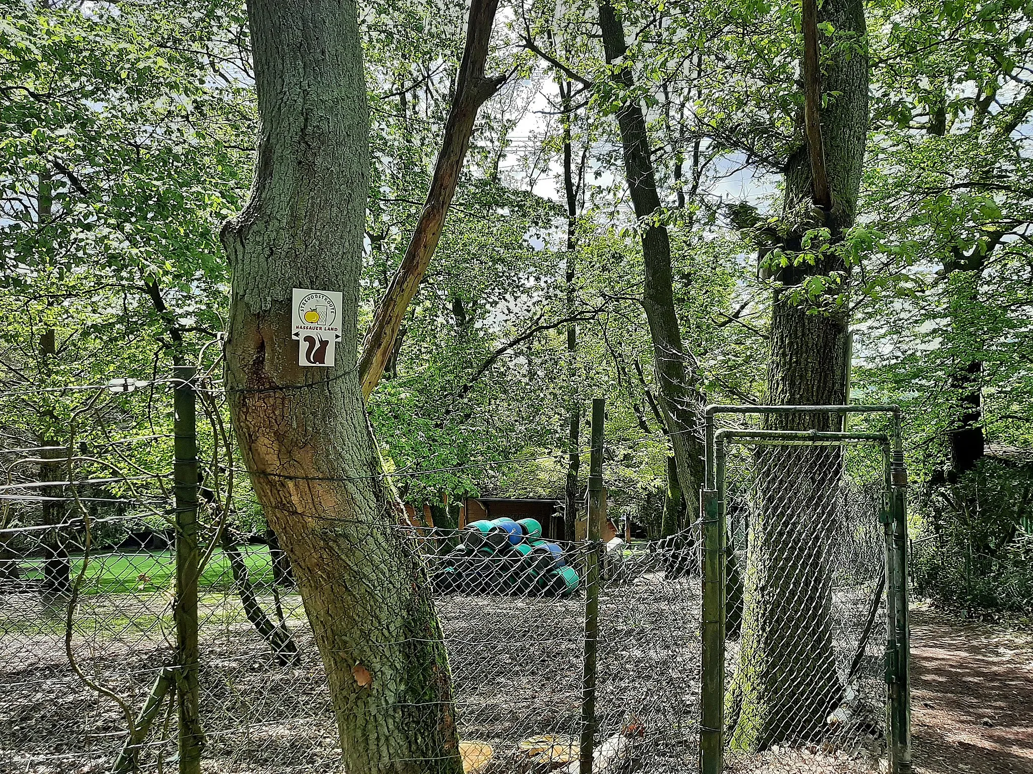 Photo showing: Wegzeichen oberhalb der Straße Am Fuchsbau von Niedernhausen.