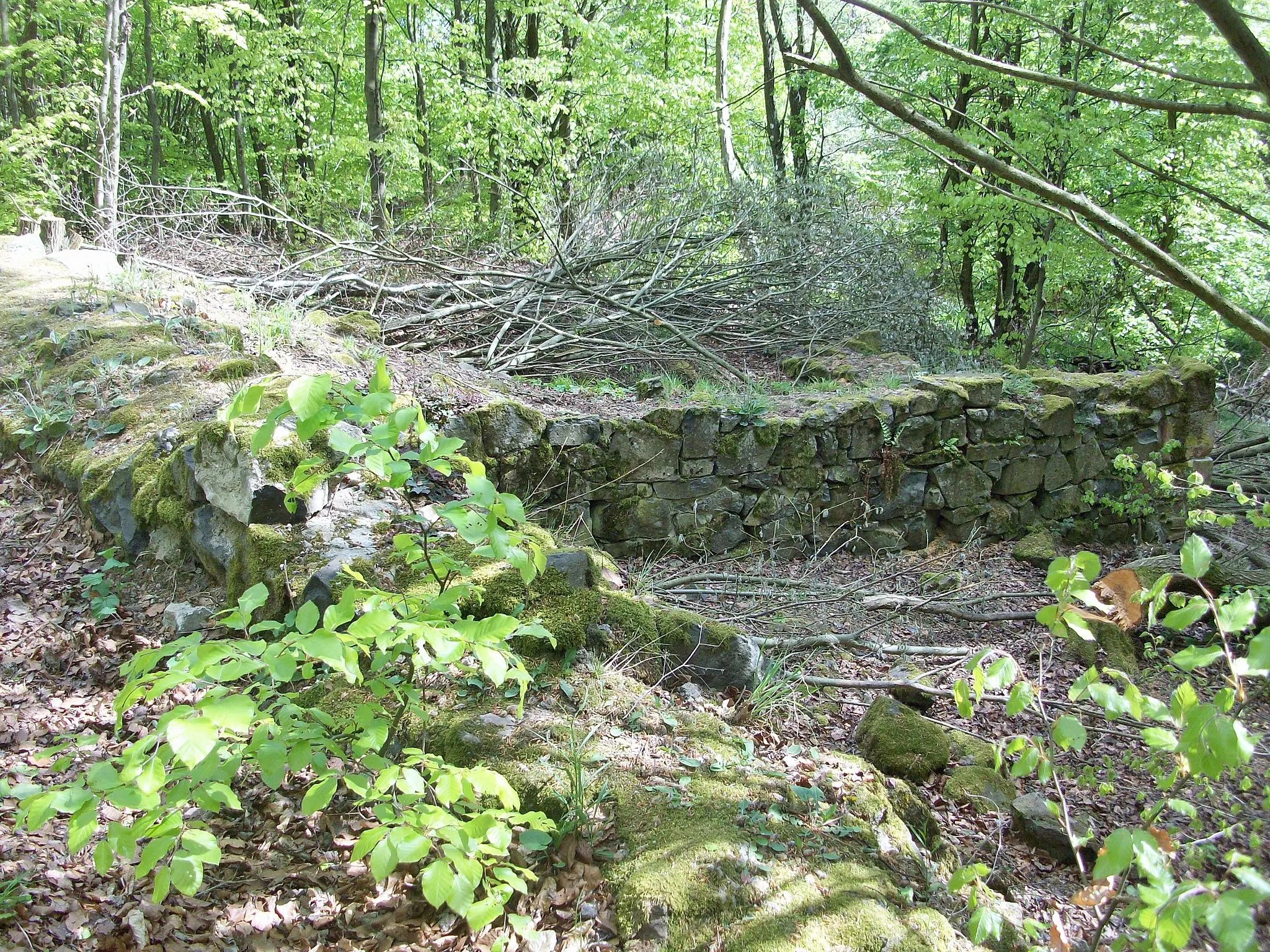 Photo showing: Burgmauer (links) und Ruinenreste eines angelehnten Gebäudes der Burgruine Hardeck (Büdingen)