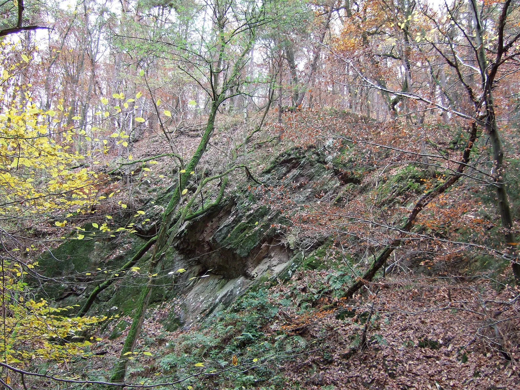 Photo showing: Der Burghügel auf dem die Vergessene Burg bei Alzenau stand