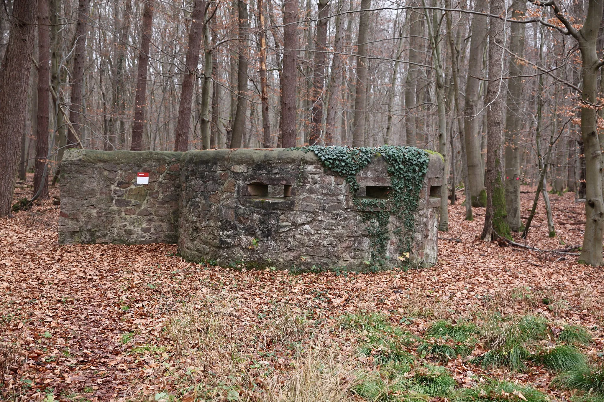 Photo showing: This is a picture of the Hessian Kulturdenkmal (cultural monument) with the ID