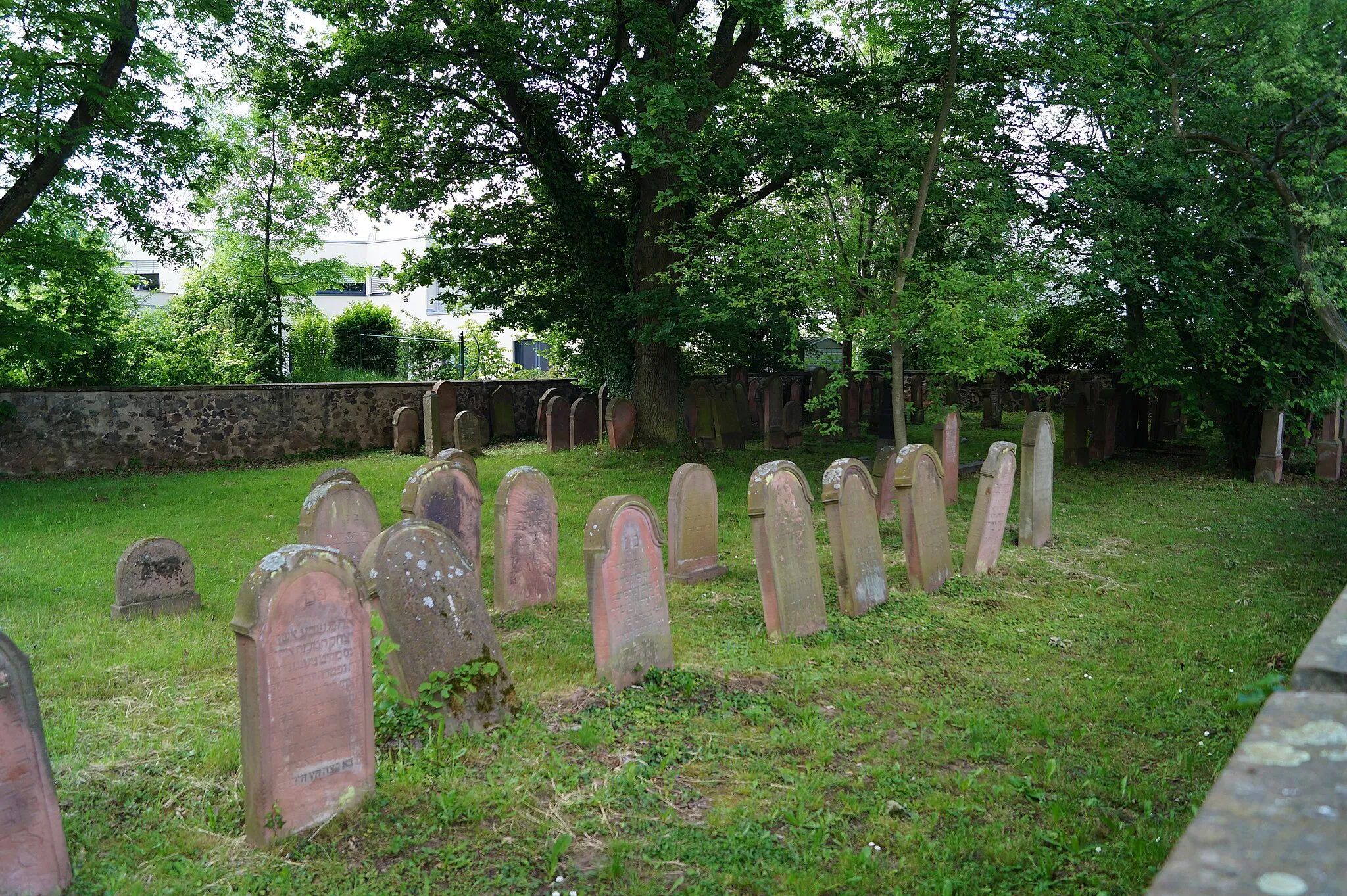 Photo showing: Rückwärtiger Bereich des Jüdischen Friedhofs in Langenselbold, Hessen mit älteren Grabsteinen.