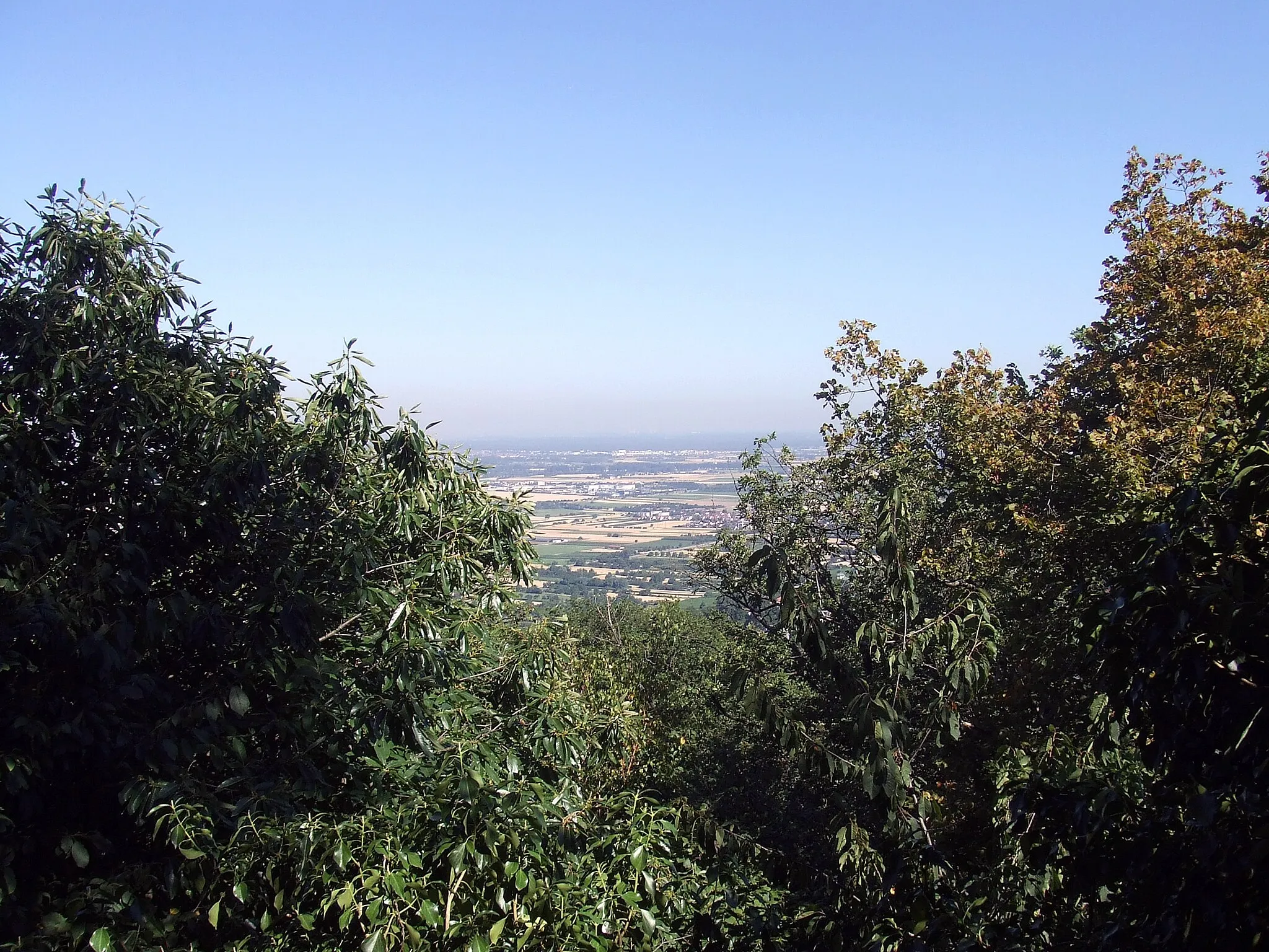 Photo showing: Schanze: Blick über Schreisheim und die Rheinebene