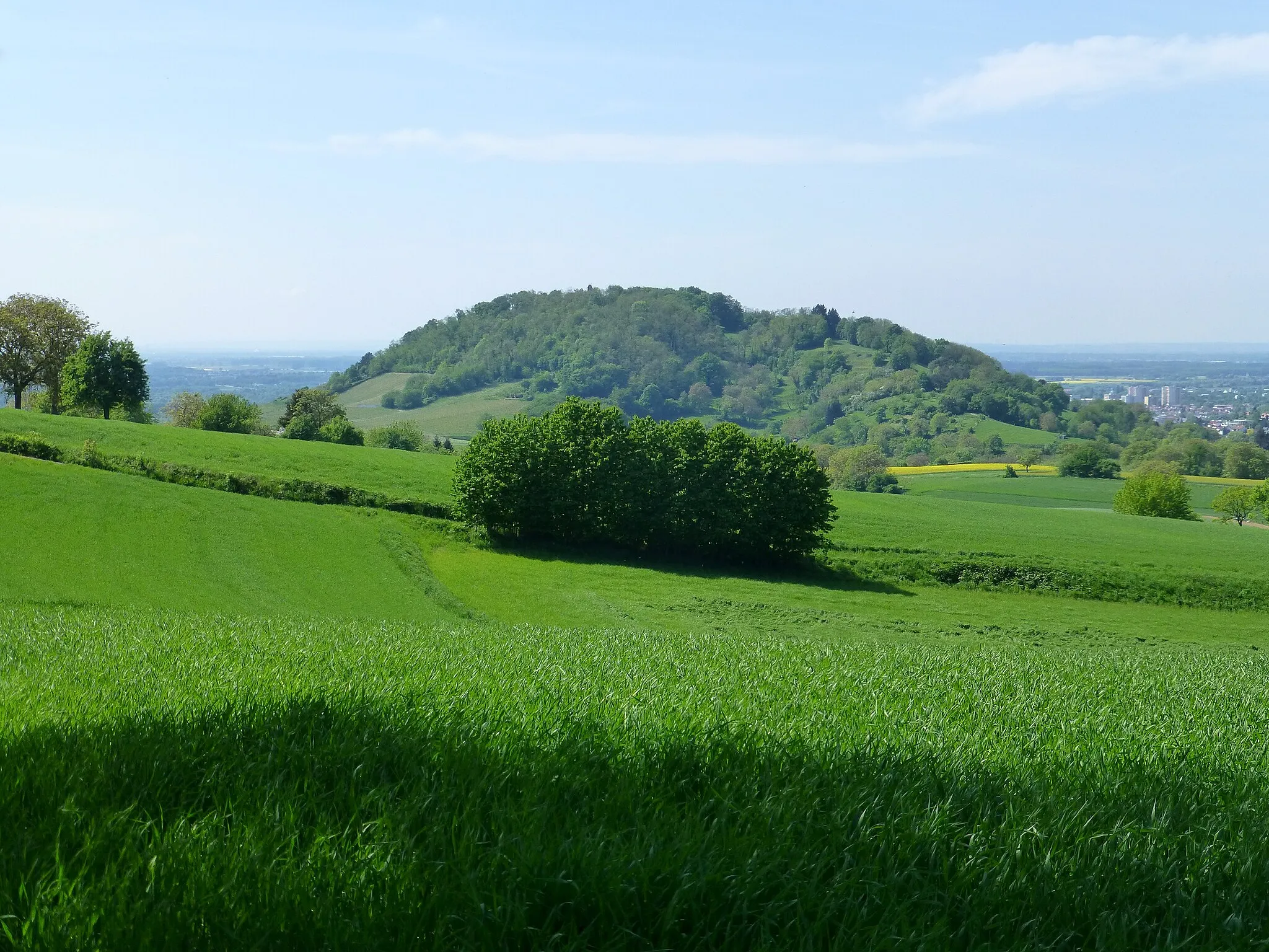 Photo showing: Hemsberg südlich von Bensheim; Blick nach Westen von einem Wirtschaftsweg oberhalb von Unter-Hambach