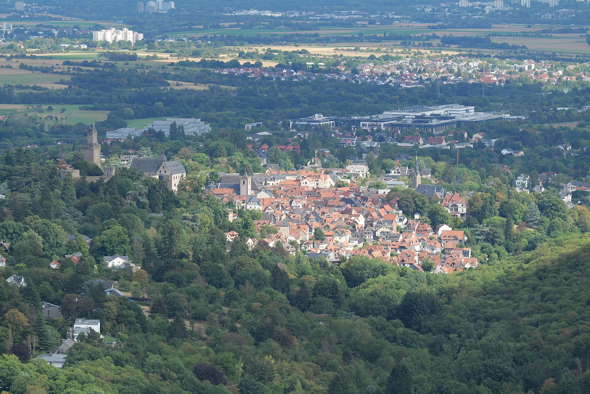 Photo showing: Blick vom Dettweiler Tempel am Burghain Falkenstein am 18. August 2020.