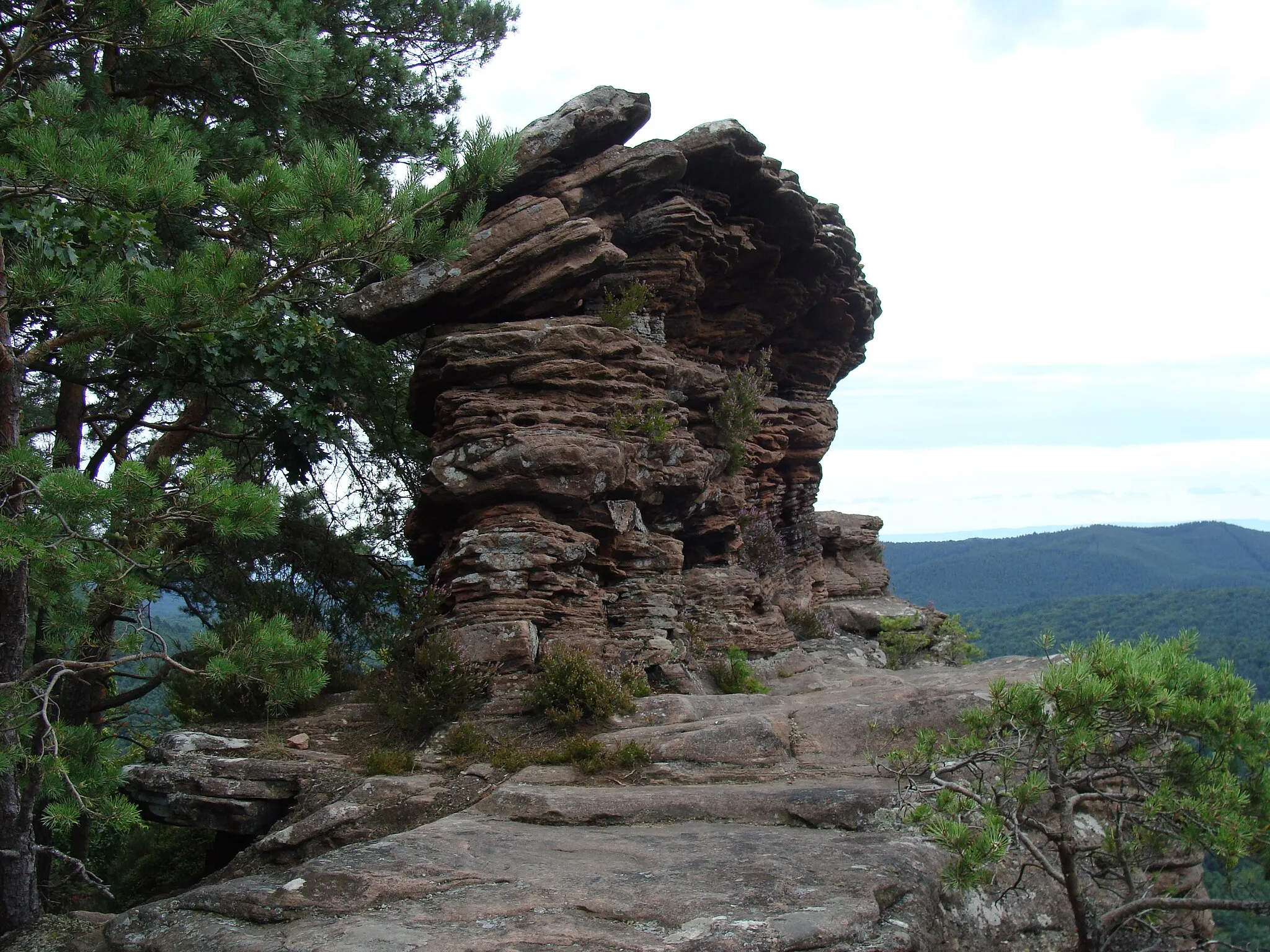 Photo showing: Rötzenfelsen am Rötzenberg im Wasgau/Pfälzerwald