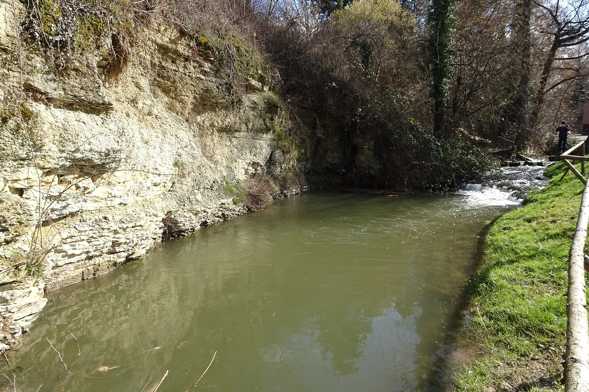 Photo showing: Natural monument "Erdbach-Einschlupf" (Erdbachschwinde) in Erbach (Odenwaldkreis, Hesse, Germany)