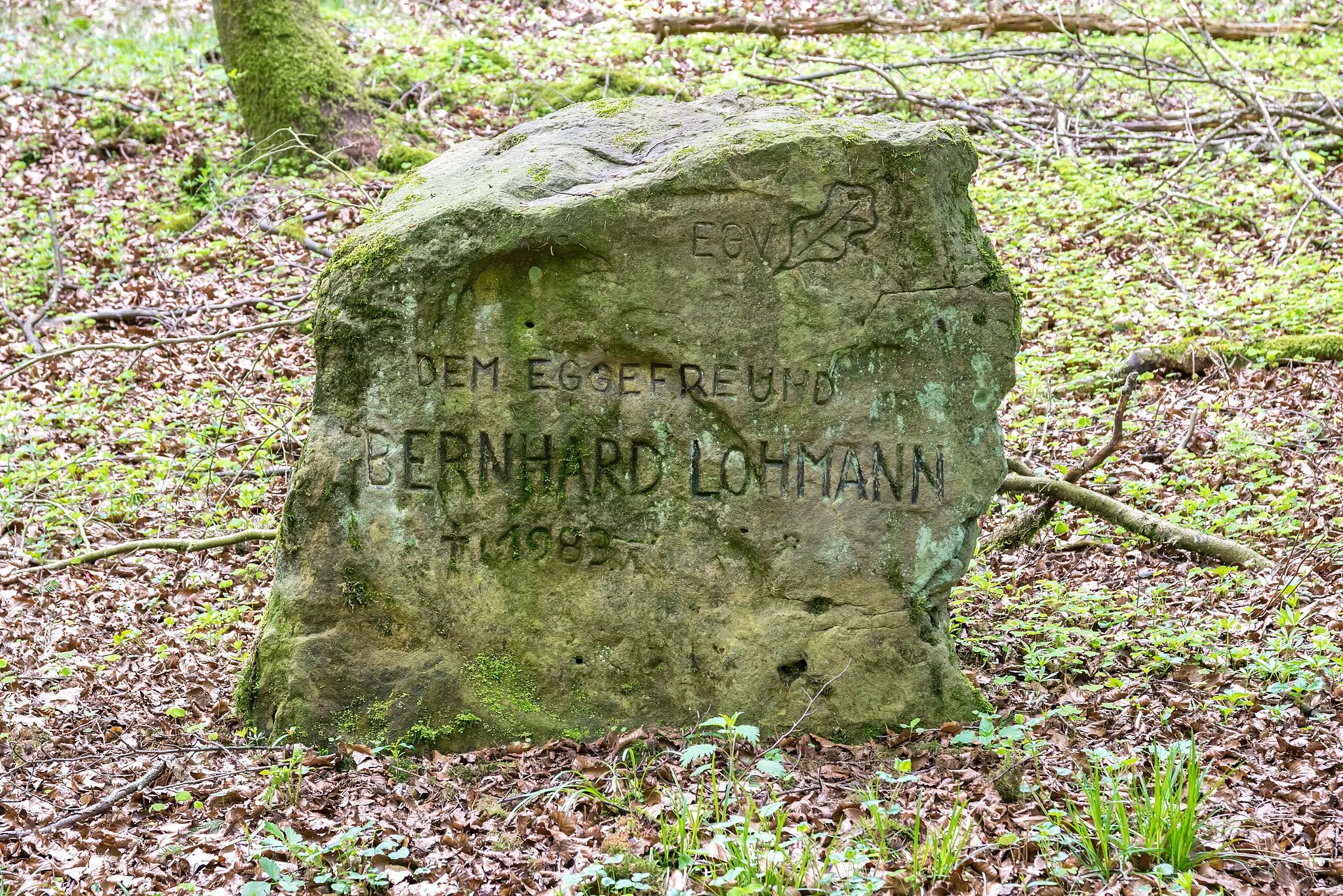 Photo showing: Gedenkstein für Bernhard Lohmann am Eggeweg in Bad Driburg