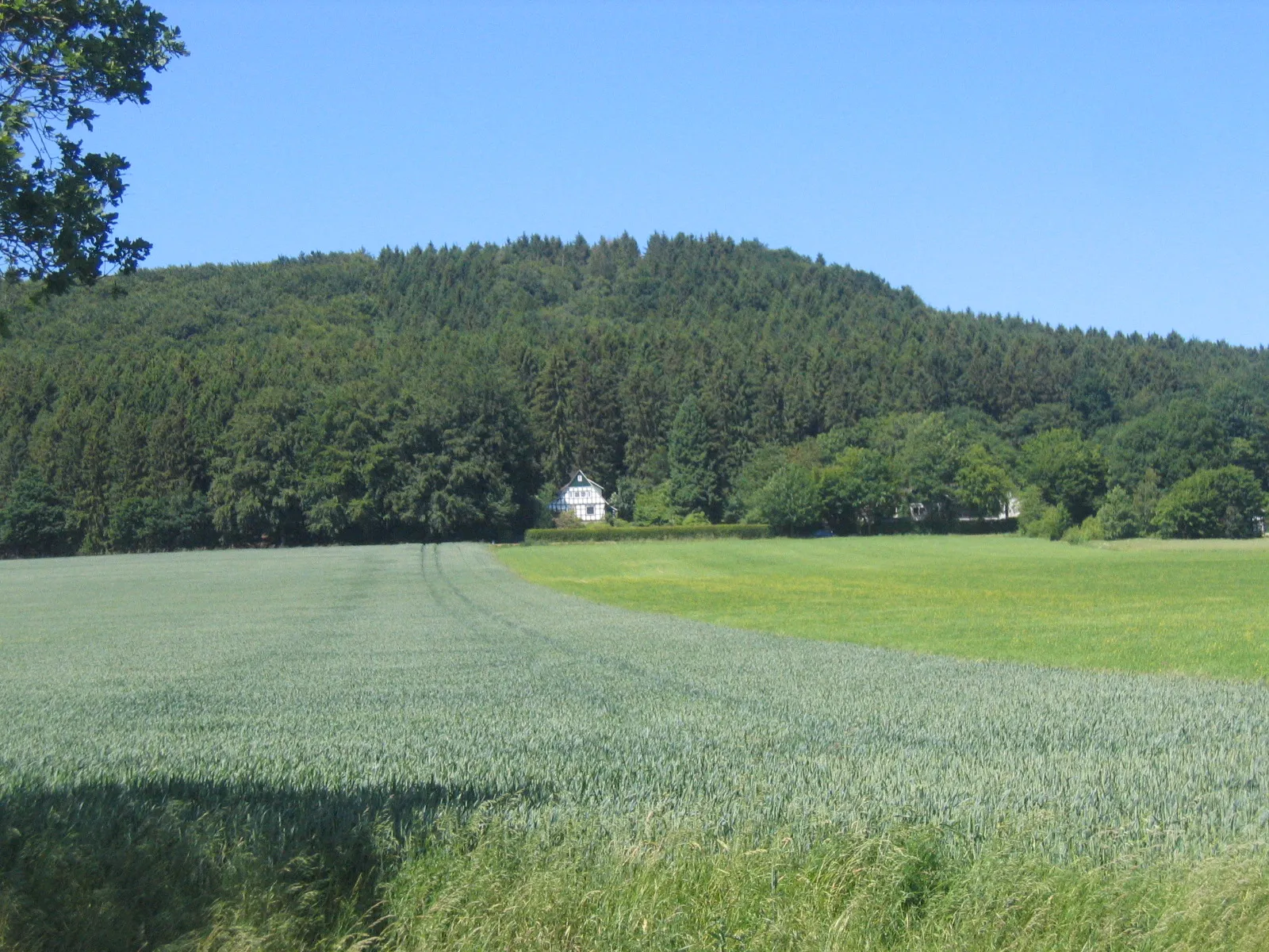 Photo showing: View to Wiehengebirge in Hüllhorst, District of Minden-Lübbecke, North Rhine-Westphalia, Germany.