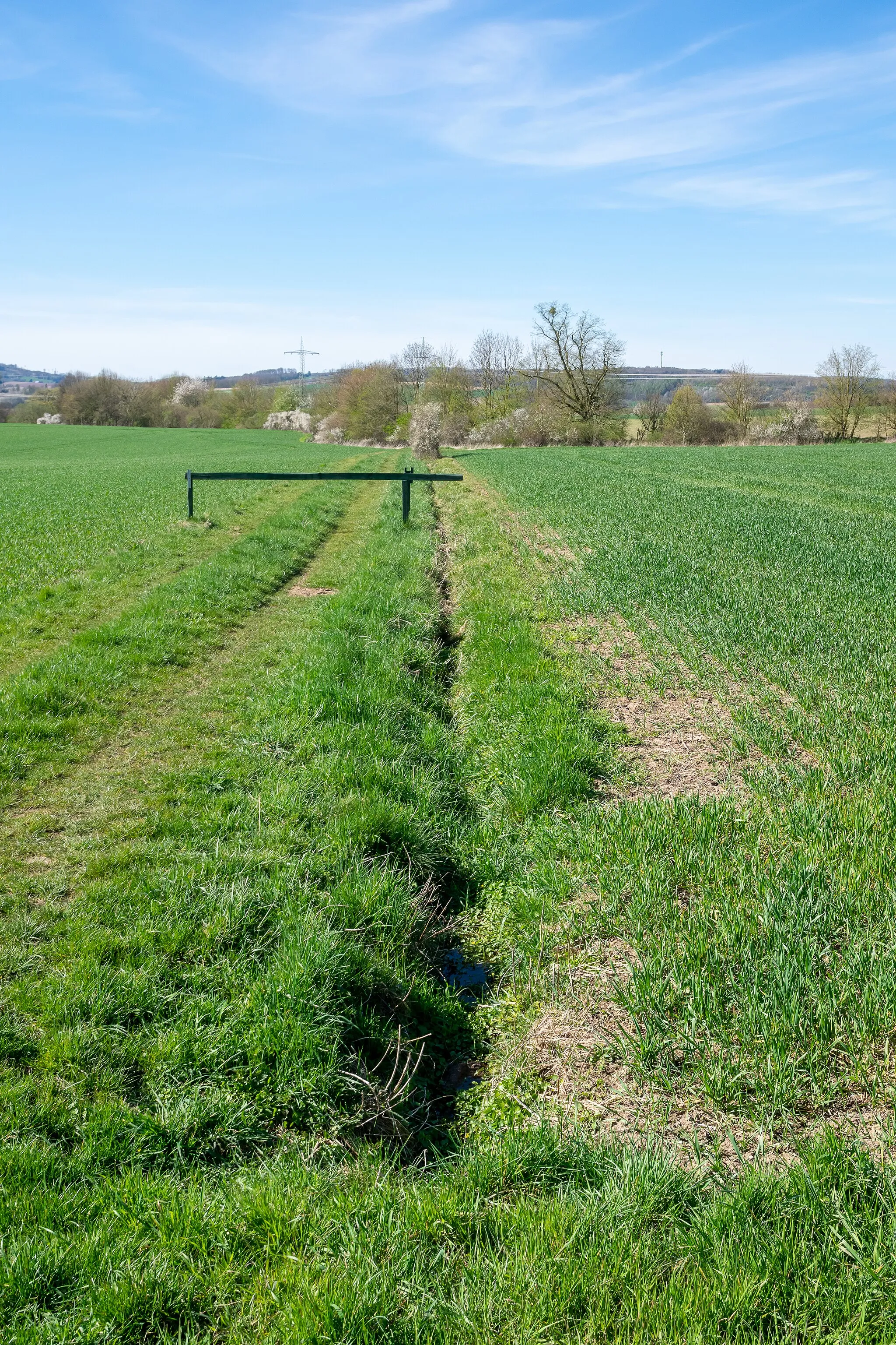 Photo showing: Landschaftsschutzgebiet Pyrmonter Bergland sowie südliches Lipper Bergland südlich von Lügde