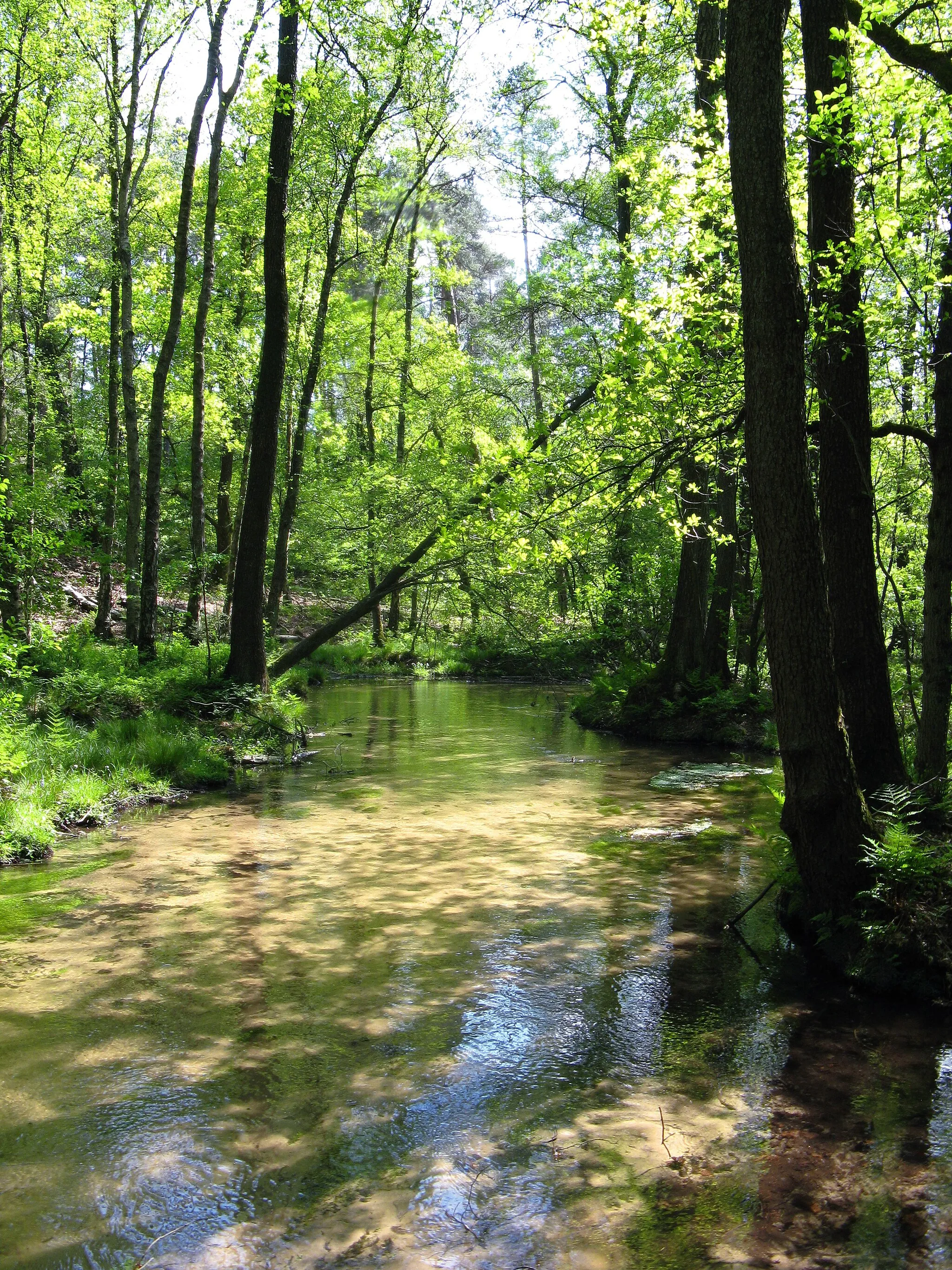 Photo showing: Der Furlbach im Furlbachtal