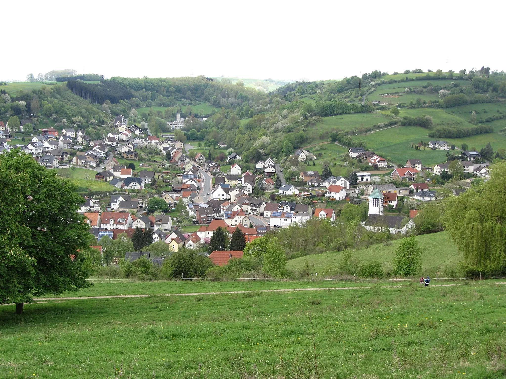 Photo showing: Naturschutzgebiet Krähenberg bei Beverungen-Dalhausen, Kreis Höxter; westliches Teilstück