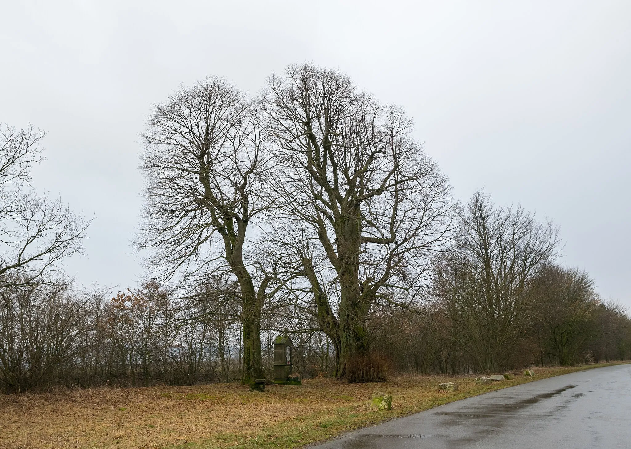 Photo showing: Bildstock an der Lanfert in Altenbeken-Buke; die Bäume sind Naturdenkmale