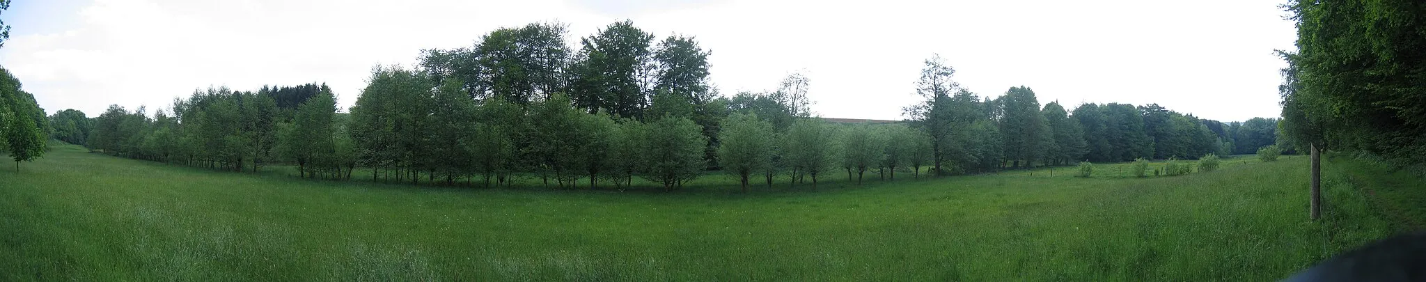 Photo showing: Valley of Wehmerhorster Bach in Rödinghausen, District of Herford, North Rhine-Westphalia, Germany.