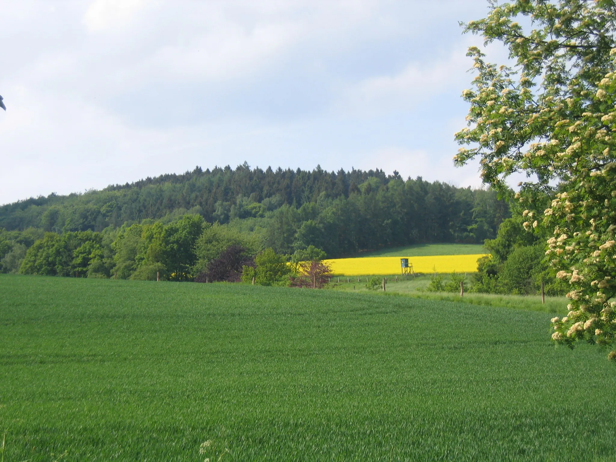 Photo showing: Maschberg in Rödinghausen, District of Herford, North Rhine-Westphalia, Germany.