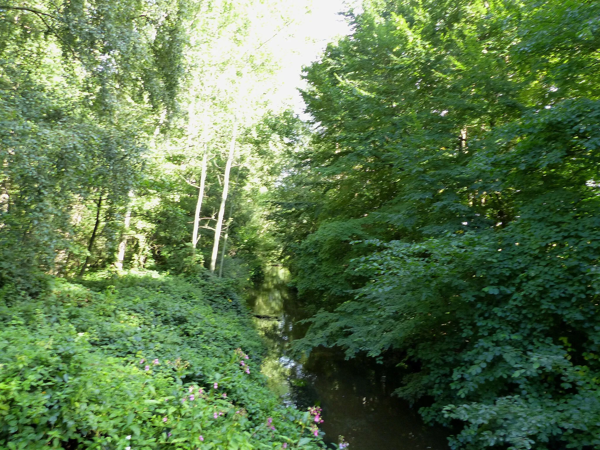 Photo showing: Ems river near Espeln, few kilometers after its source