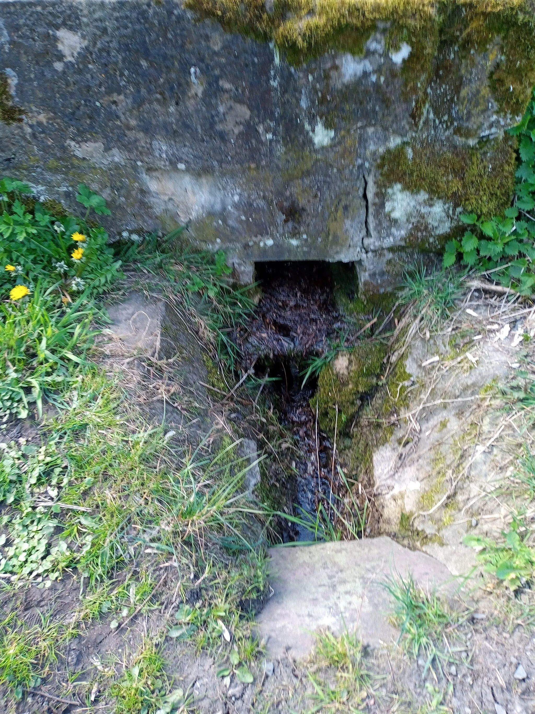 Photo showing: Hier tritt die Quelle an die Oberfläche. Davor ist die eigentliche Quelle verrohrt.