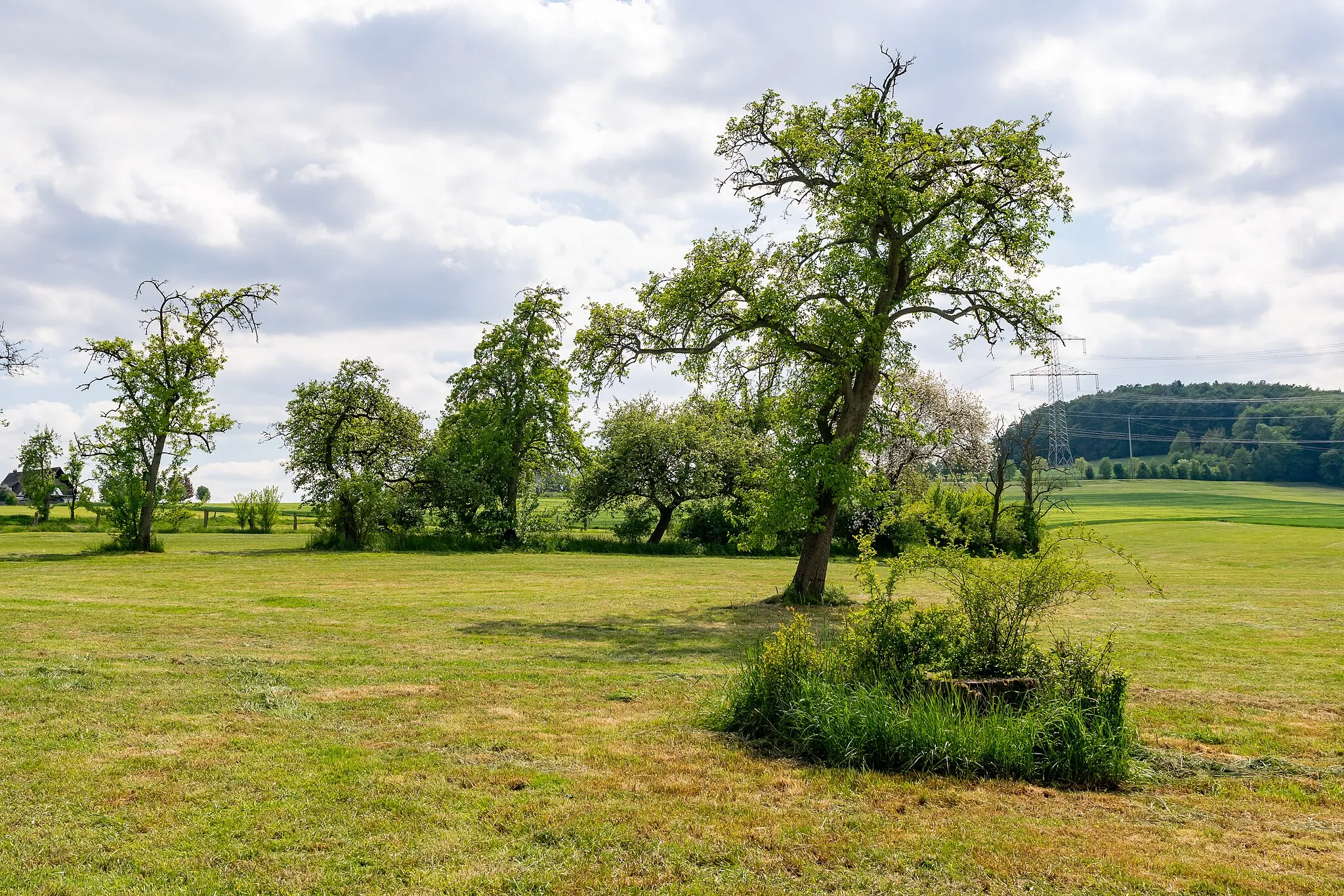 Photo showing: Landschaftsschutzgebiet Bachtal nördlich Biesterfeld in Lügde-Rischenau, Kreis Lippe