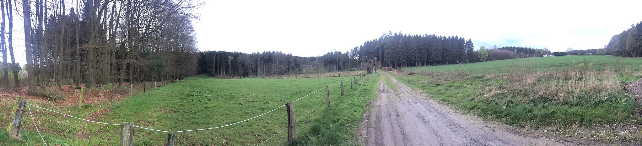 Photo showing: Many signs of land-usage.