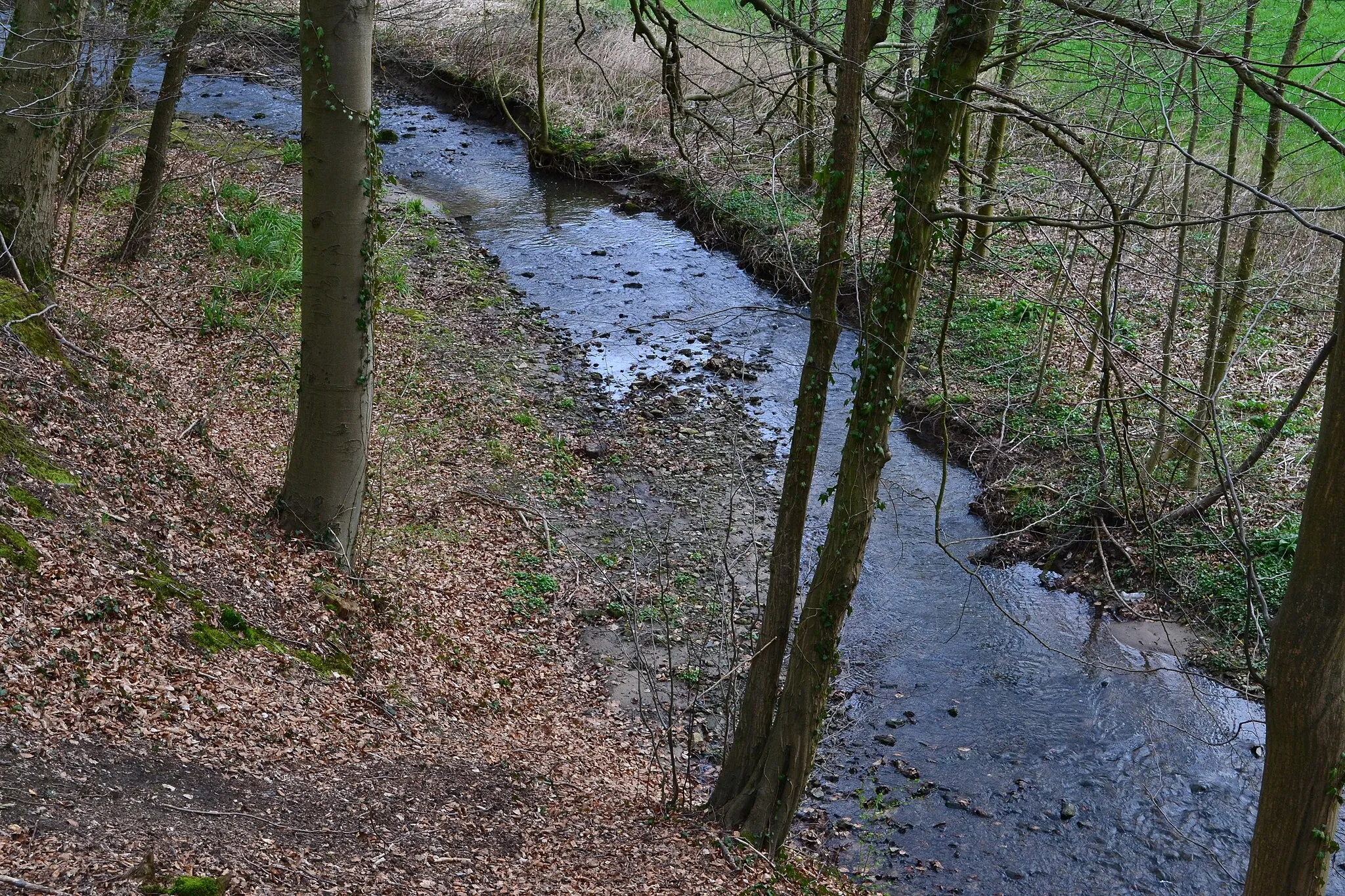 Photo showing: Landschaftsschutzgebiet "Heidenbach" am Viet(h)berg in Detmold, Kreis Lippe