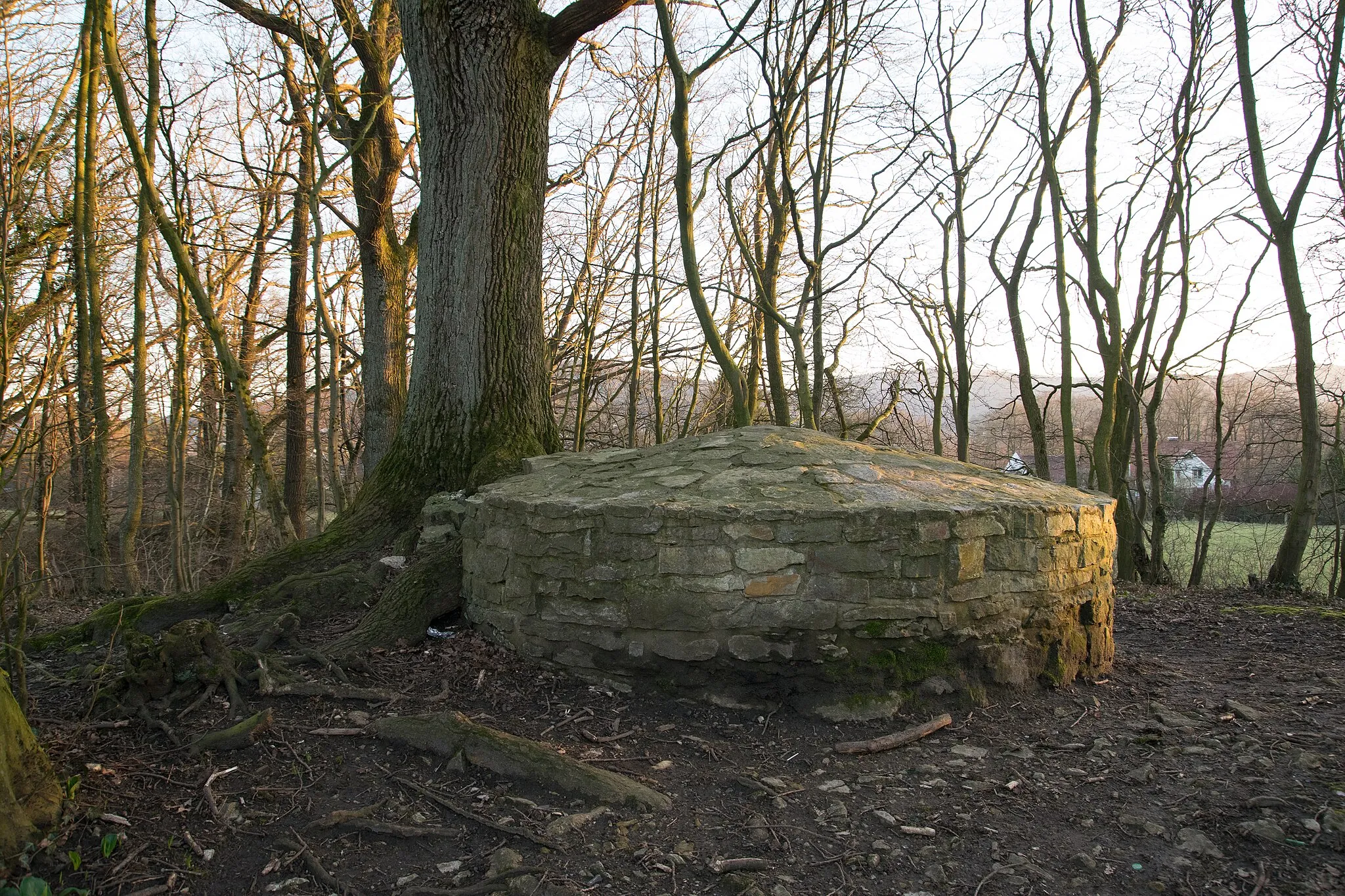 Photo showing: Landschaftsschutzgebiet Biotopkomplex am Viethberg, Detmold; Bodendenkmal Wartturmruine