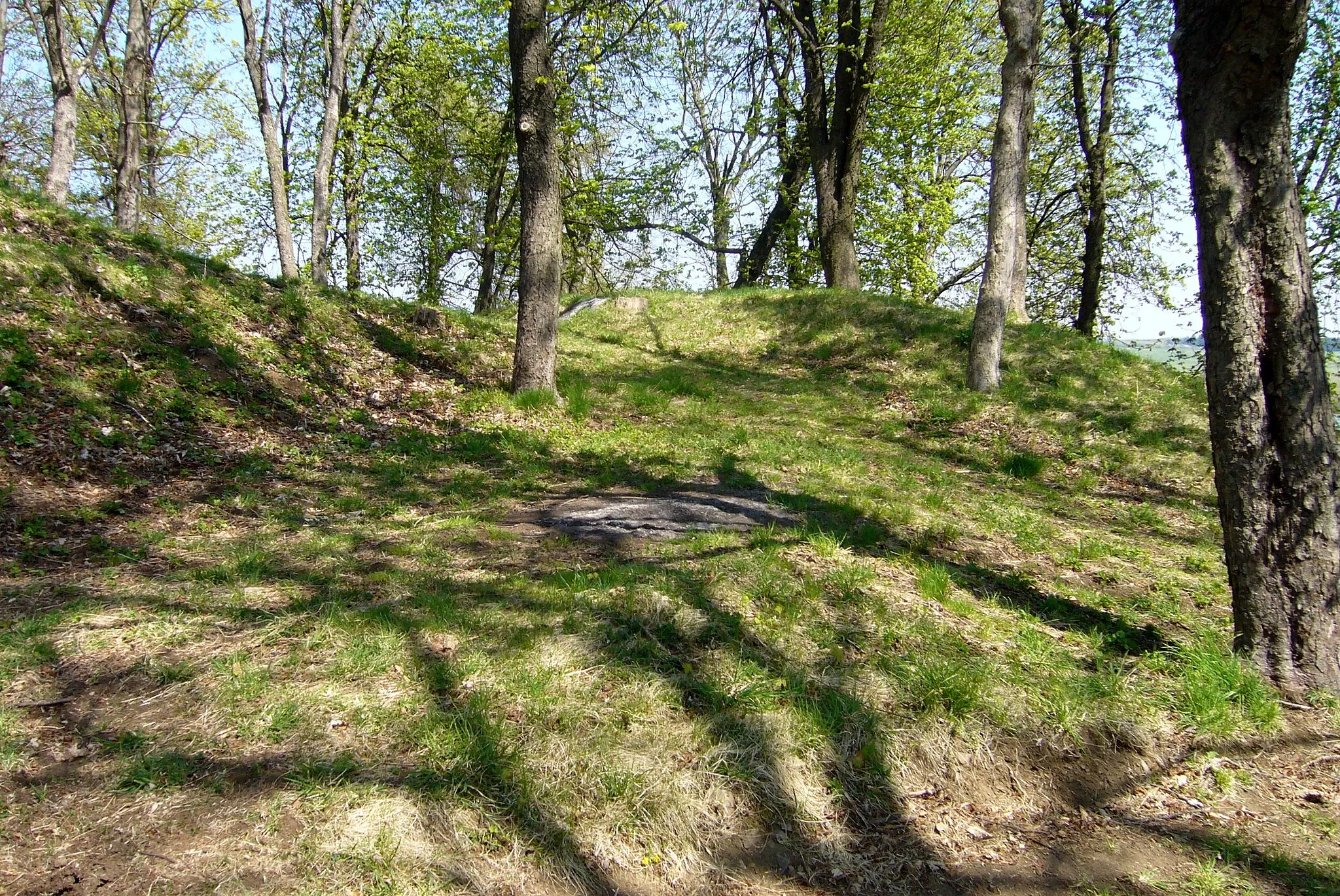 Photo showing: Hrad Hungerberg - val a příkop na východní straně