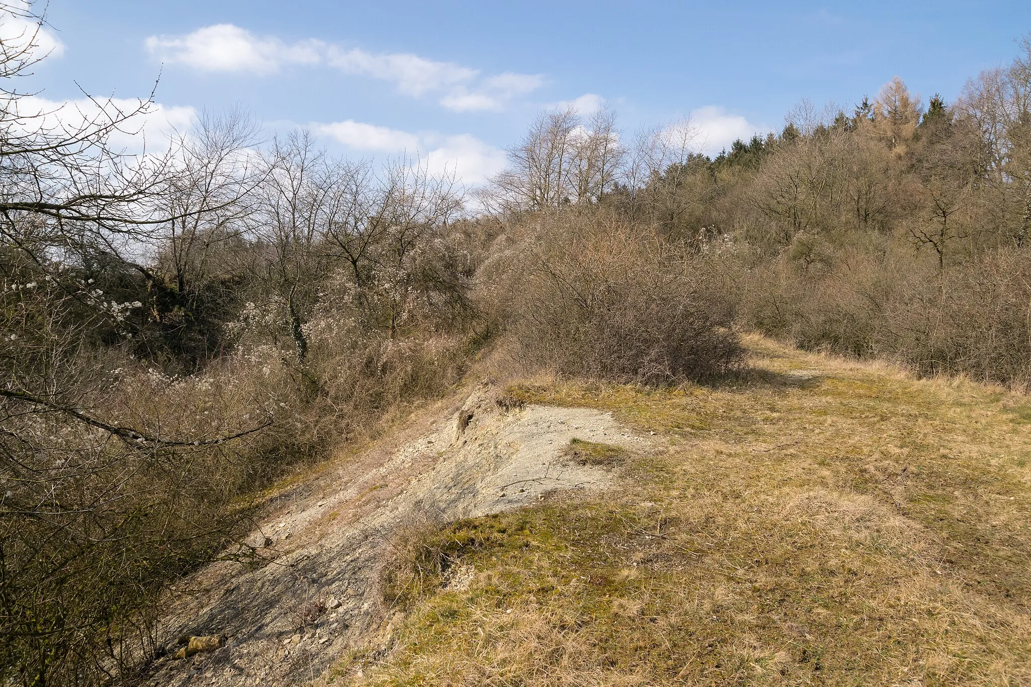 Photo showing: Naturdenkmal Mergelkuhle und gesetzlich geschütztes Biotop Kalkmagerrasen am Trophagener Berg, Lemgo, Kreis Lippe