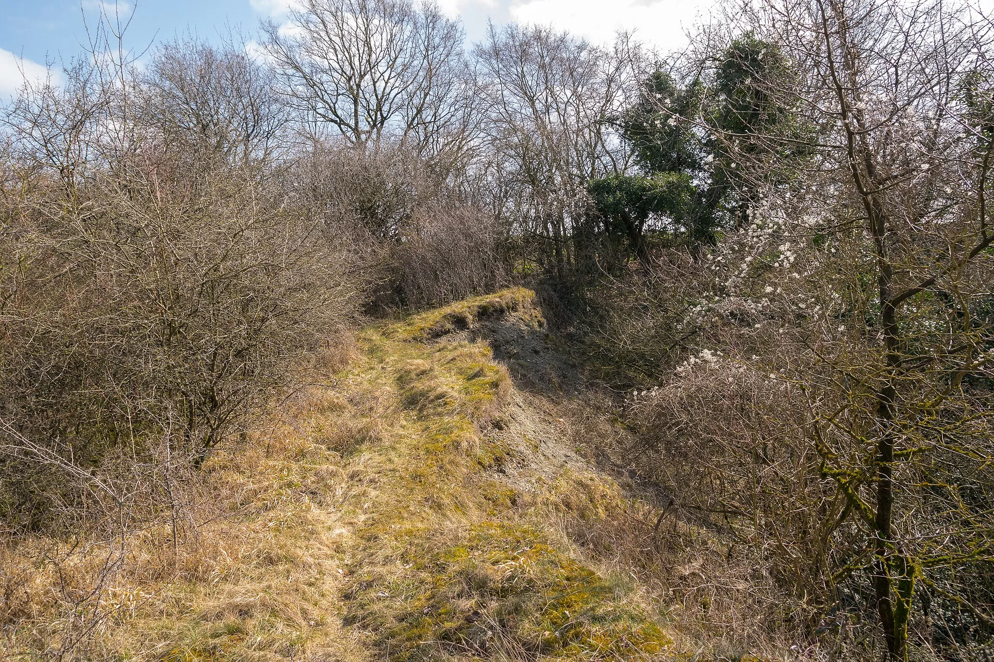 Photo showing: Naturdenkmal Mergelkuhle und gesetzlich geschütztes Biotop Kalkmagerrasen am Trophagener Berg, Lemgo, Kreis Lippe