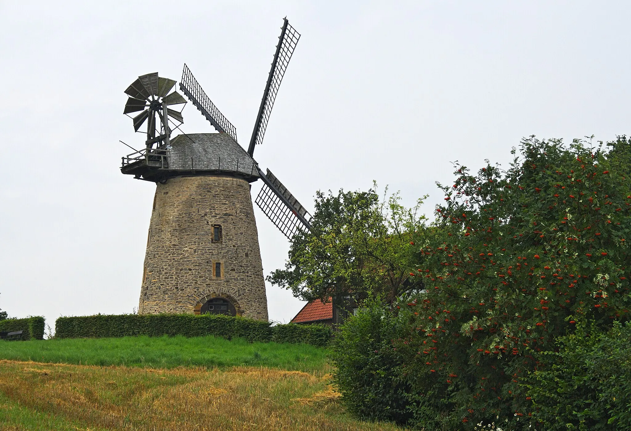 Photo showing: Liesbergmühle, an tower mill, buildt in 1756; in Enger, North Rhine-Westphalia, Germany