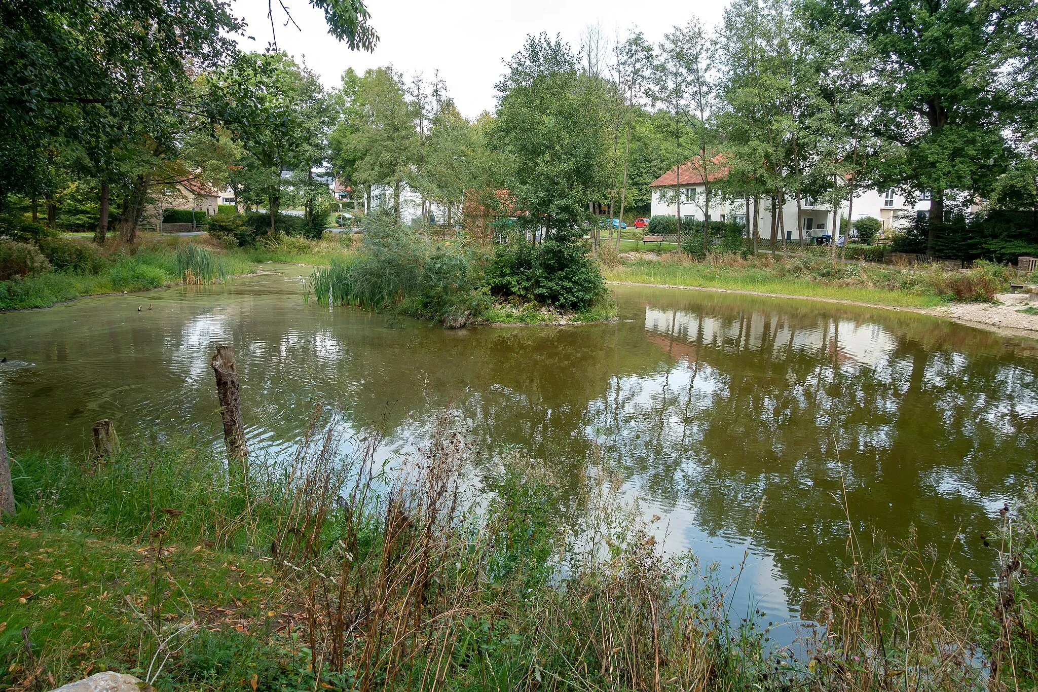 Photo showing: Brokhauser Teich, ungewöhnlichstes Baudenkmal in Detmold