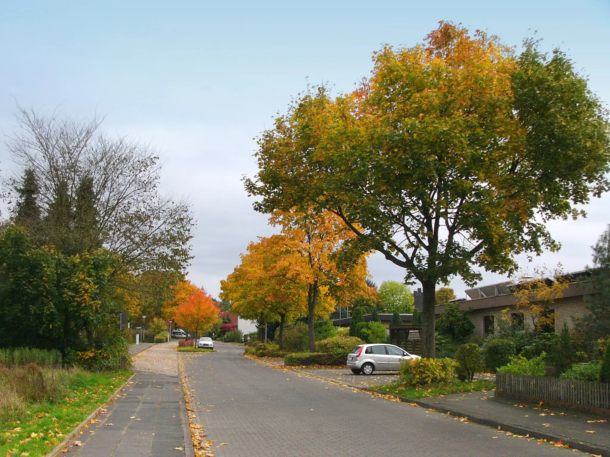 Photo showing: Schulstraße, street in Oerlinghausen, Germany