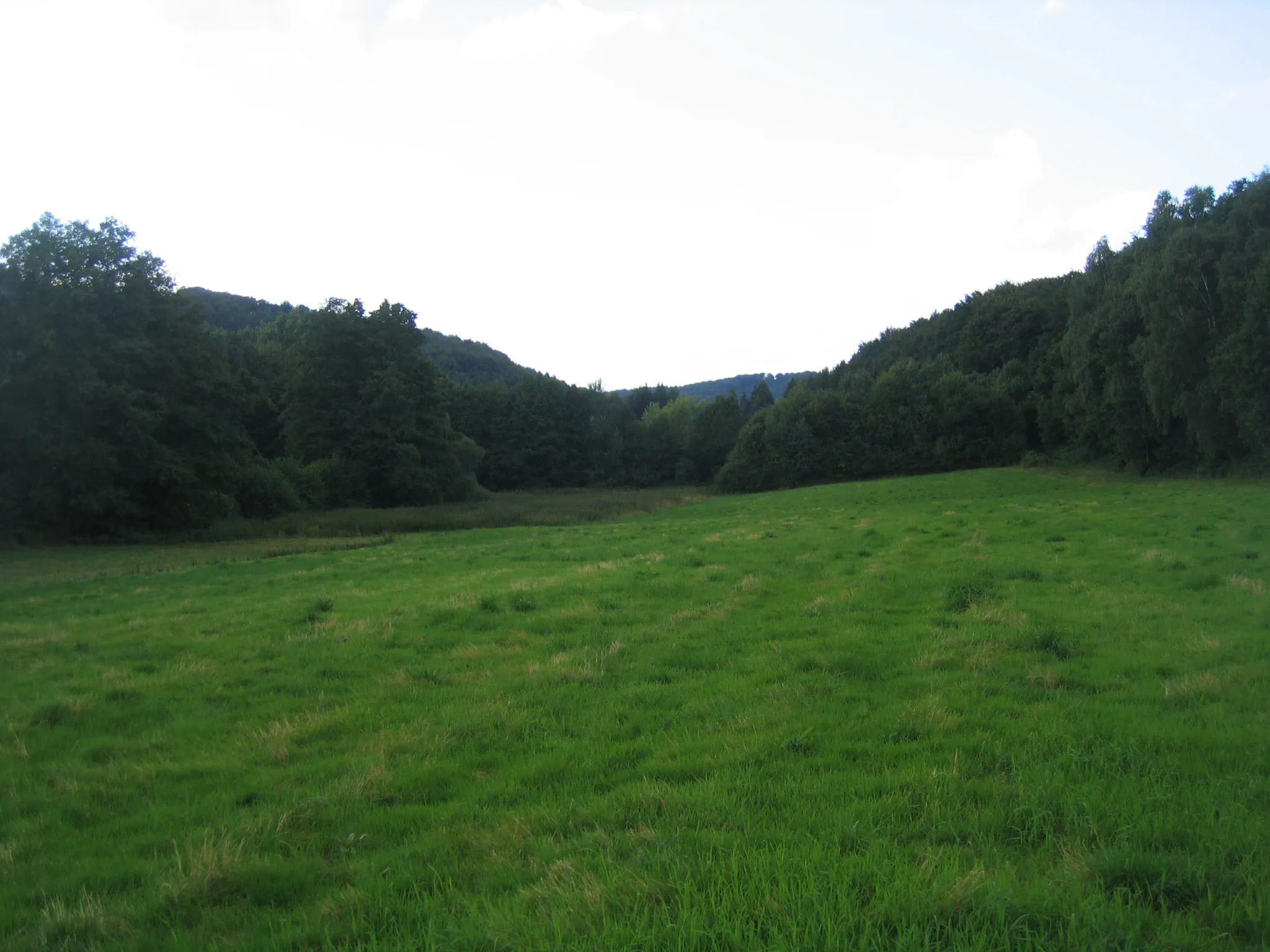 Photo showing: Picture shows the valley of Große Aue river in town of Rödinghausen-Bieren, Germany, before passing Wiehengebirge mountain range and flowing into Eggetal.