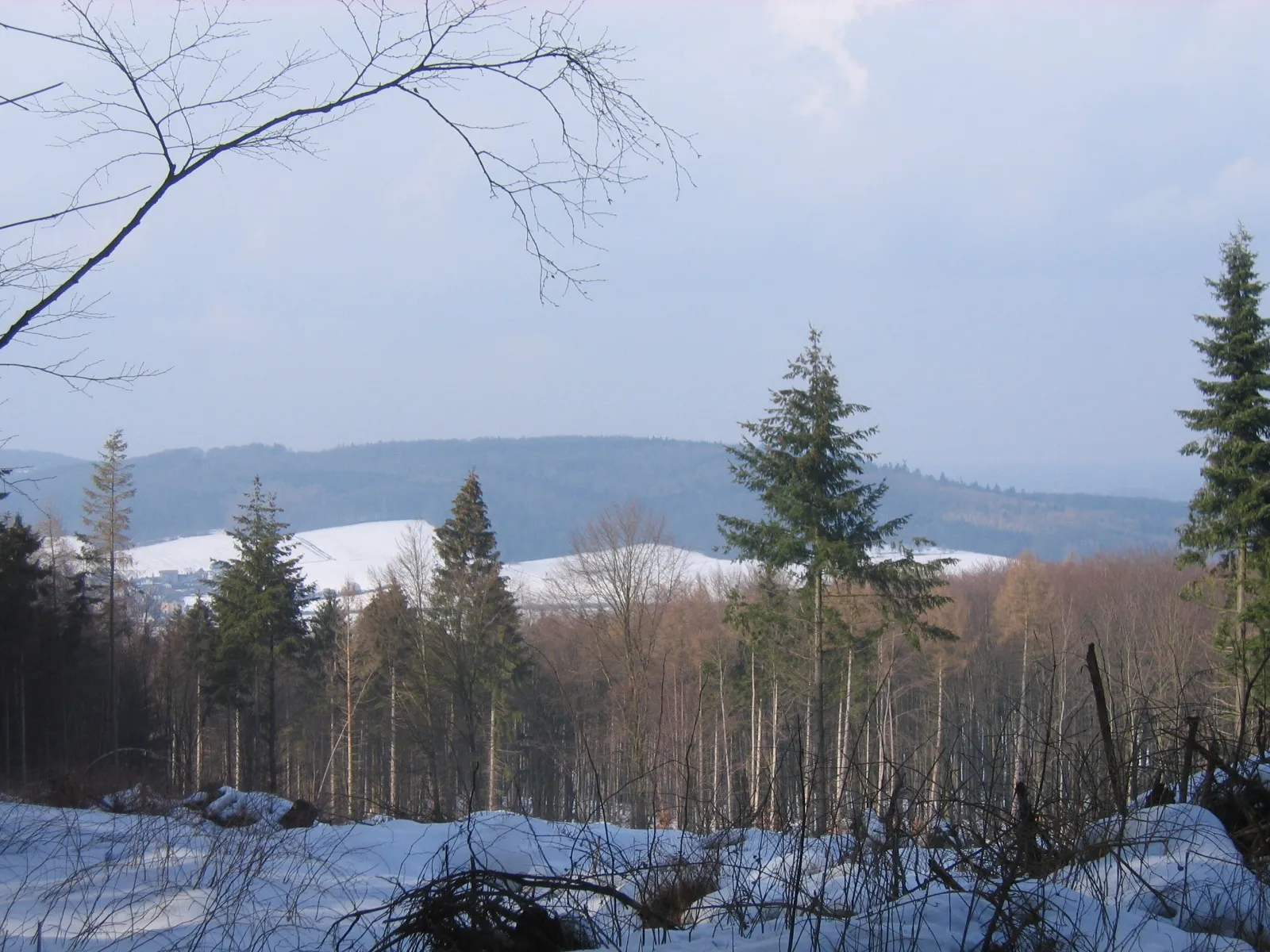 Photo showing: At Wittekind hiking trail at Wiehen Hills between Rödinghausen (District of  Herford) and Lübbecke (District of Minden-Lübbecke), North Rhine-Westphalia, Germany.