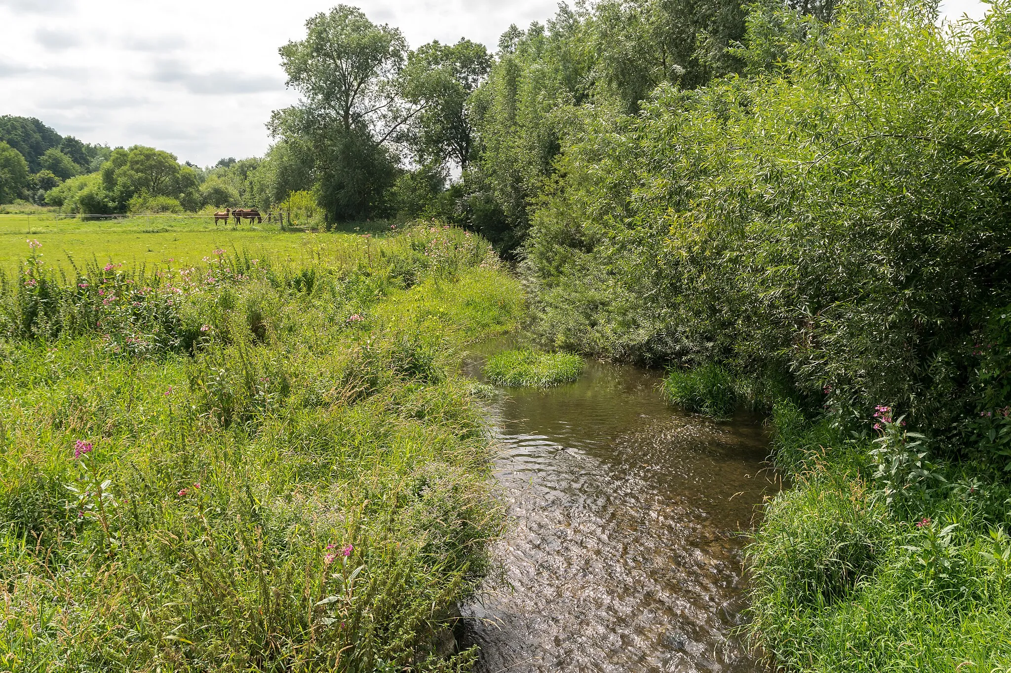 Photo showing: Naturschutzgebiet Emmeroberlauf und Beberbach, Steinheim, Kreis Höxter