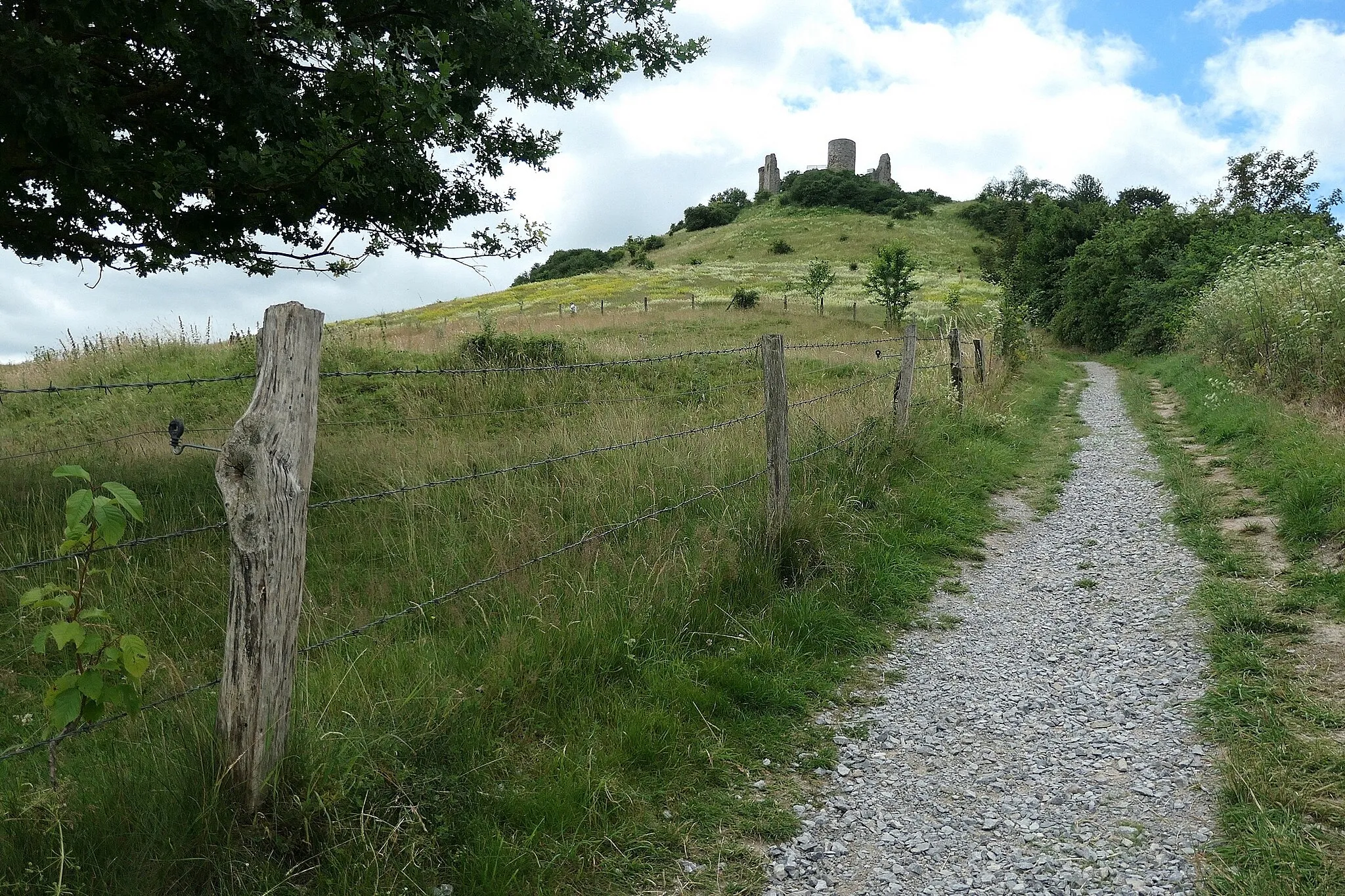 Photo showing: Desenberg mit Burgruine, Nordansicht, vom Hangfuß; Juli 2020