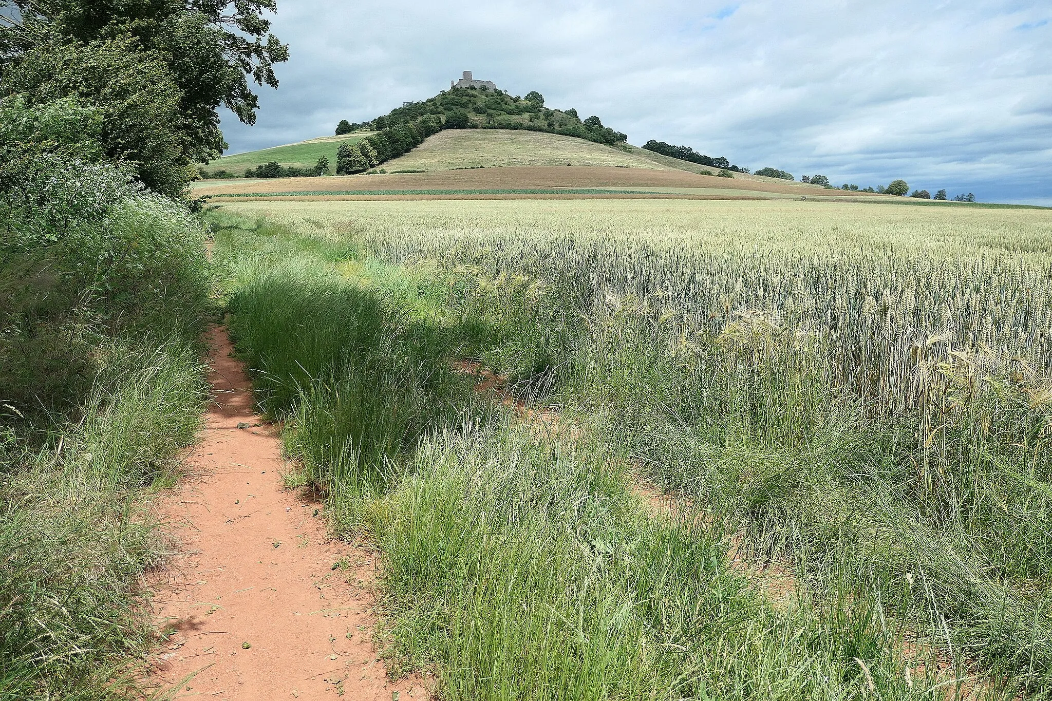 Photo showing: Südhang des Desenberg bei Warburg; Juli 2020